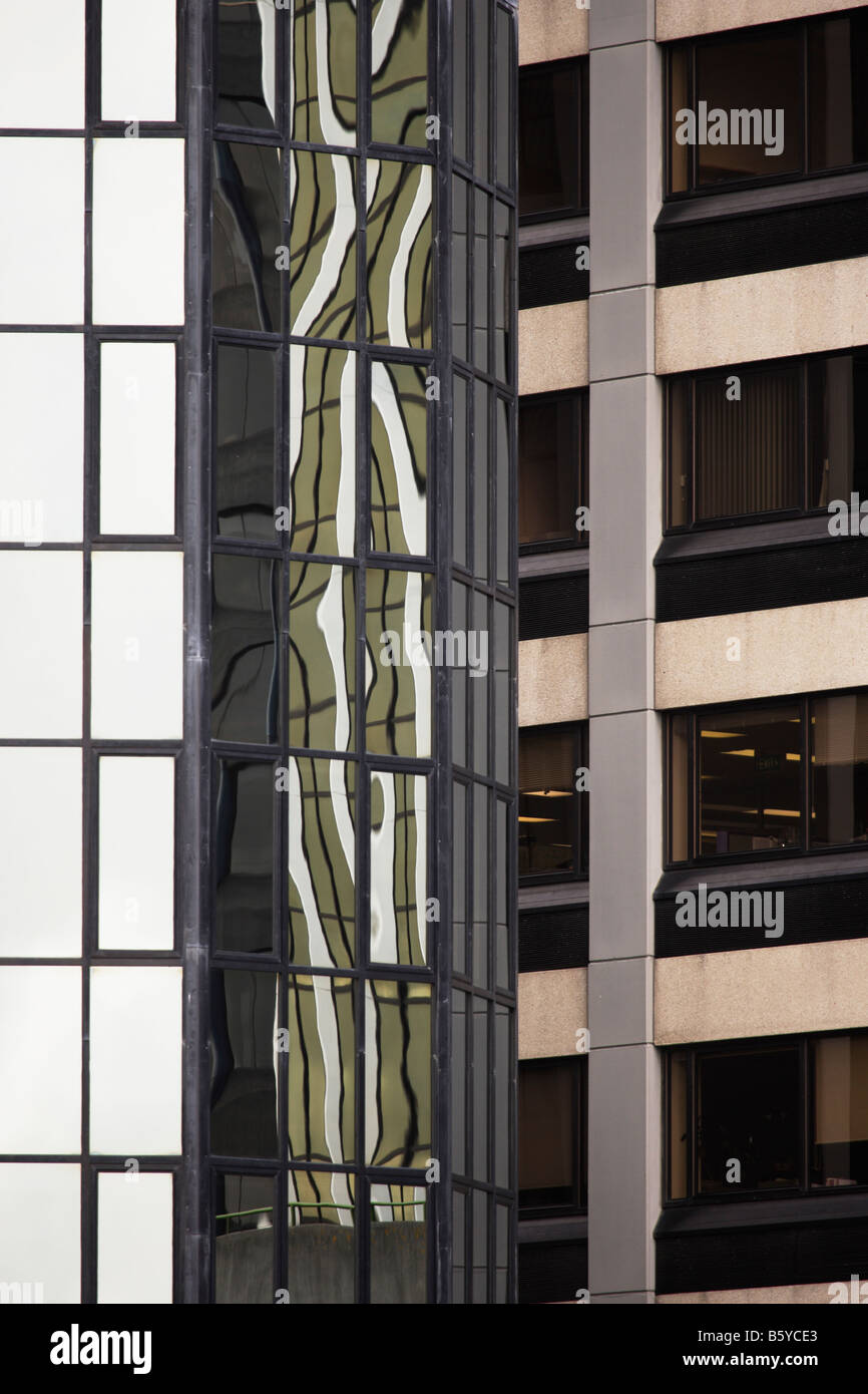 Skyscraper réflexions Wellington New Zealand Banque D'Images