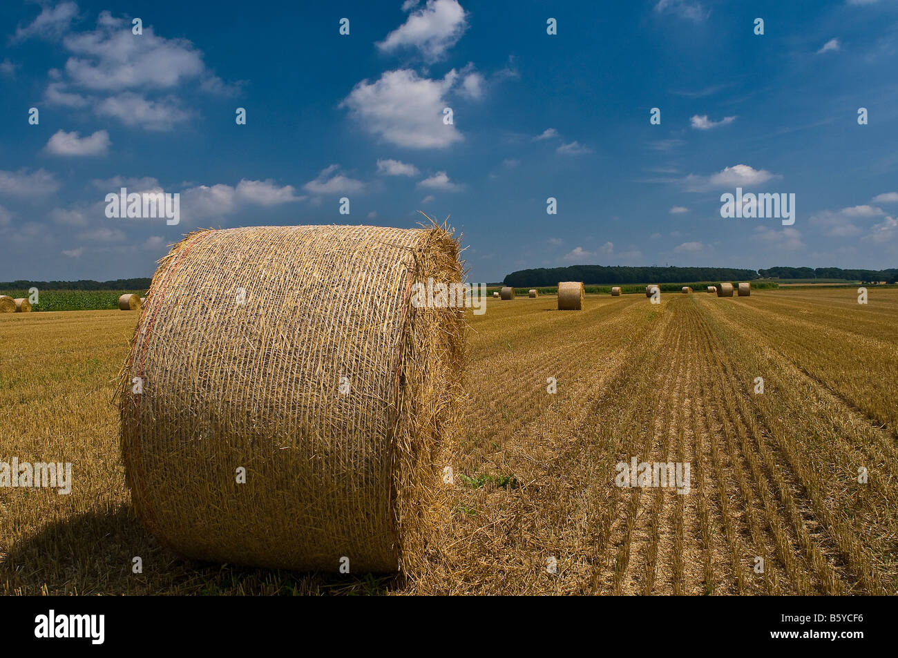 balle de paille Banque D'Images