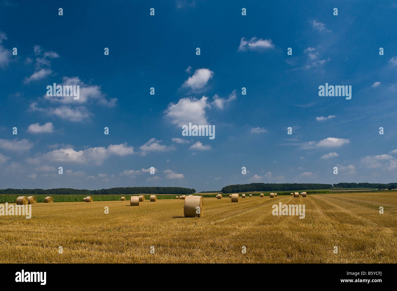 balle de paille Banque D'Images