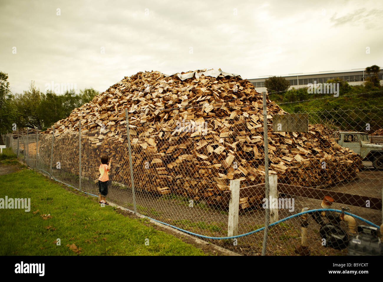 Pile de bois Palmerston North Nouvelle Zélande Banque D'Images