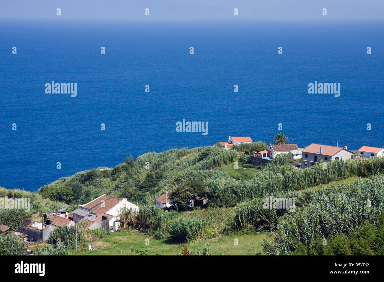 Maisons en bord de mer à São Miguel, Açores, Portugal Banque D'Images