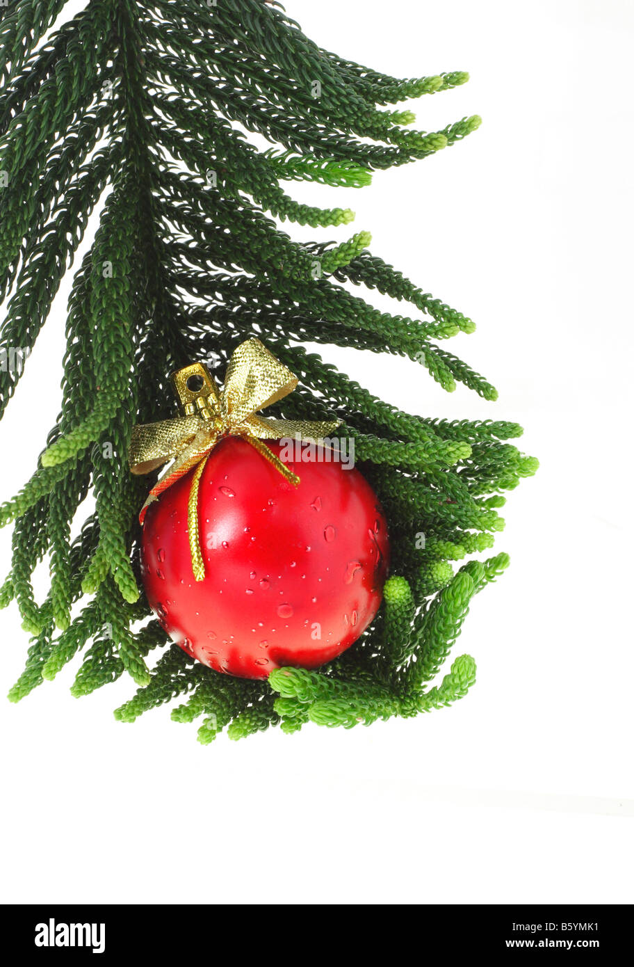 Boule de Noël rouge reposant sur des feuilles de pin Banque D'Images