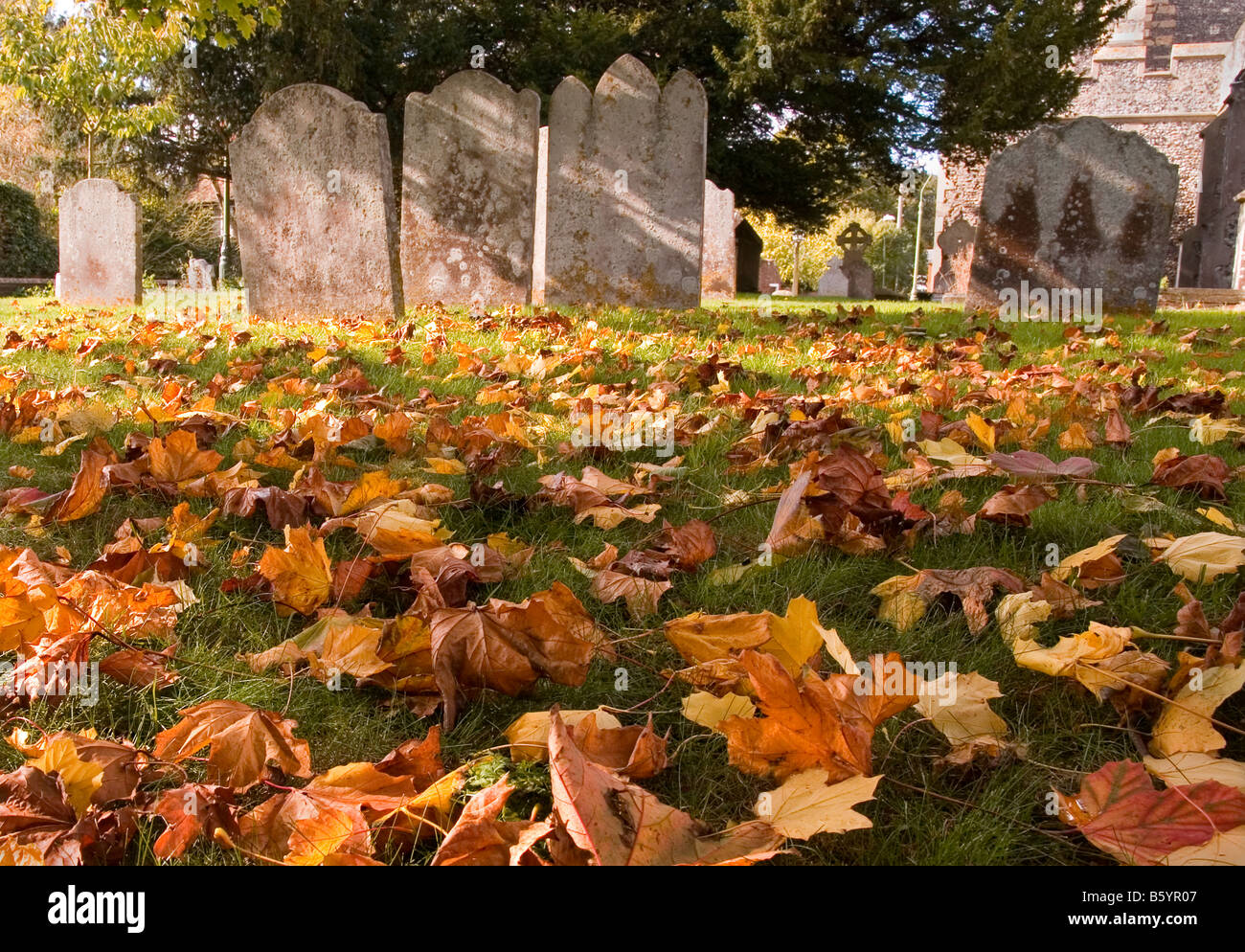 Automne laves dans le cimetière à St Nicholas à Wade dans le Kent,UK Banque D'Images