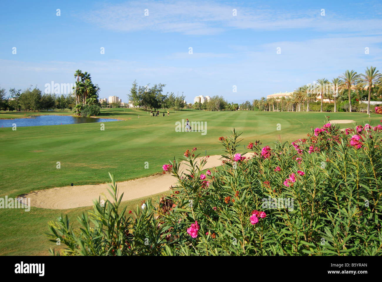 Vue sur fairway, golf Las Americas, Playa de las Americas, Tenerife, Canaries, Espagne Banque D'Images