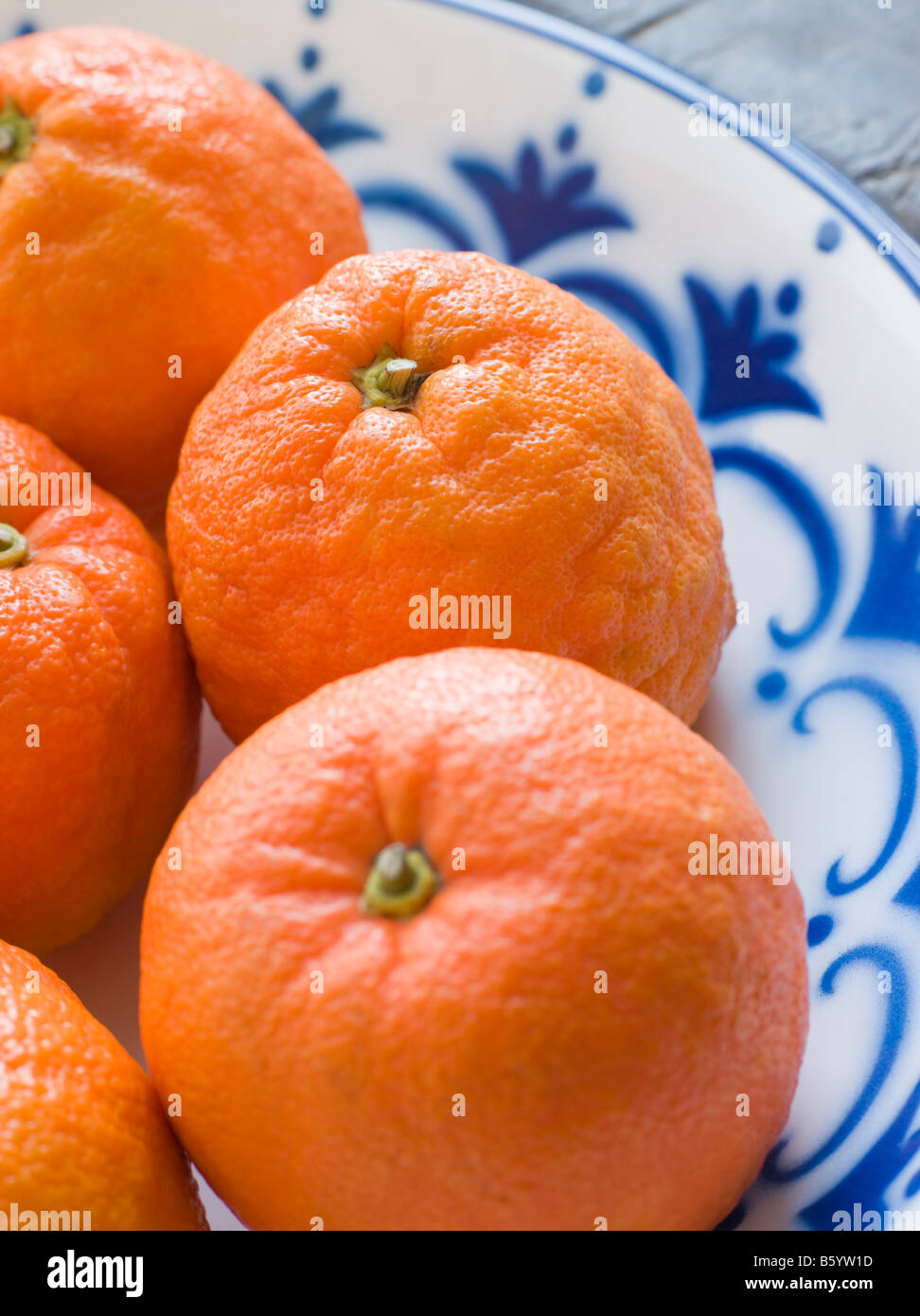 Bol d'oranges de Séville Banque D'Images