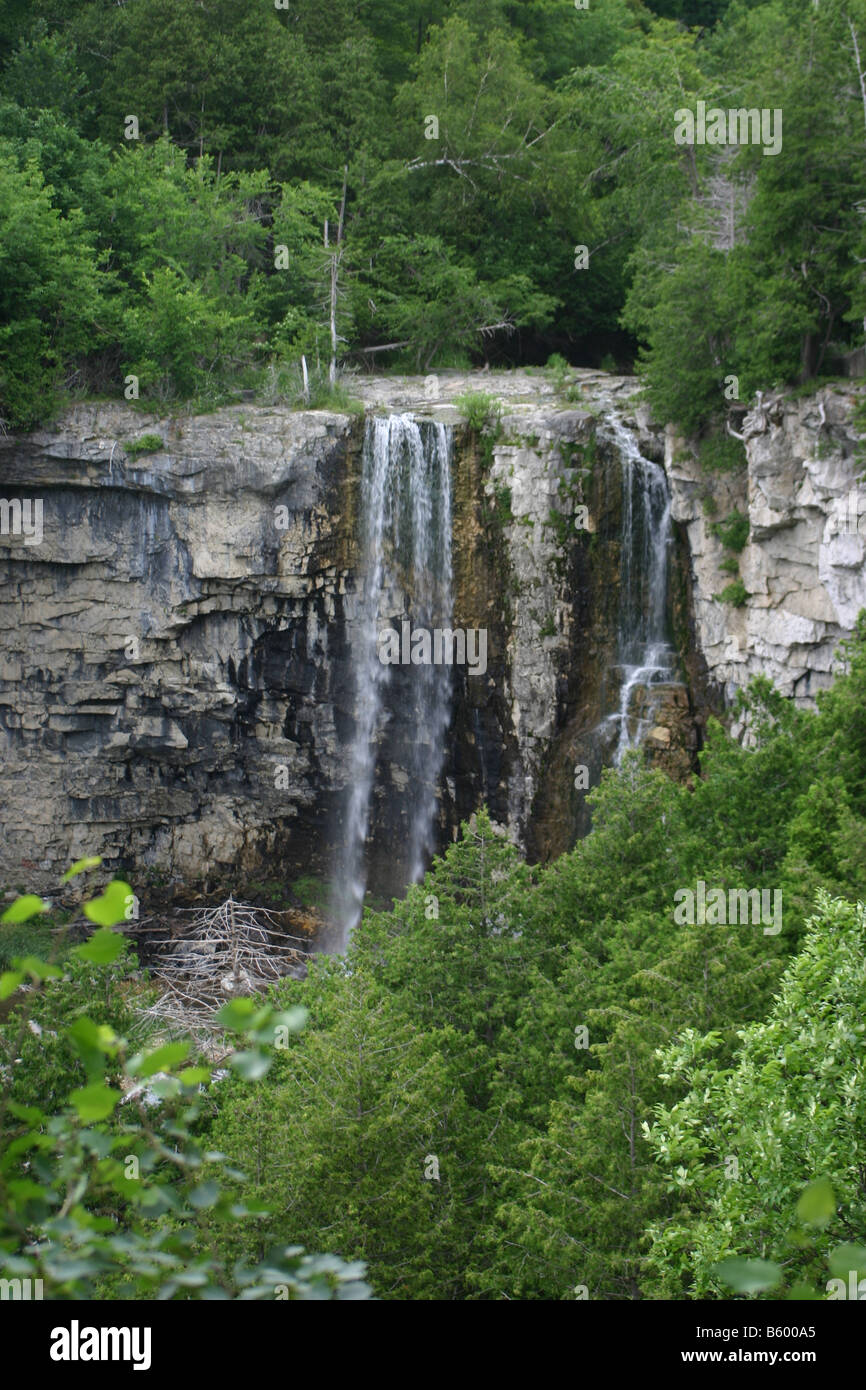 Awaterfall downthe plonge falaise de l'Escarpement du Niagara à Eugenia Falls en Ontario, Canada. Banque D'Images