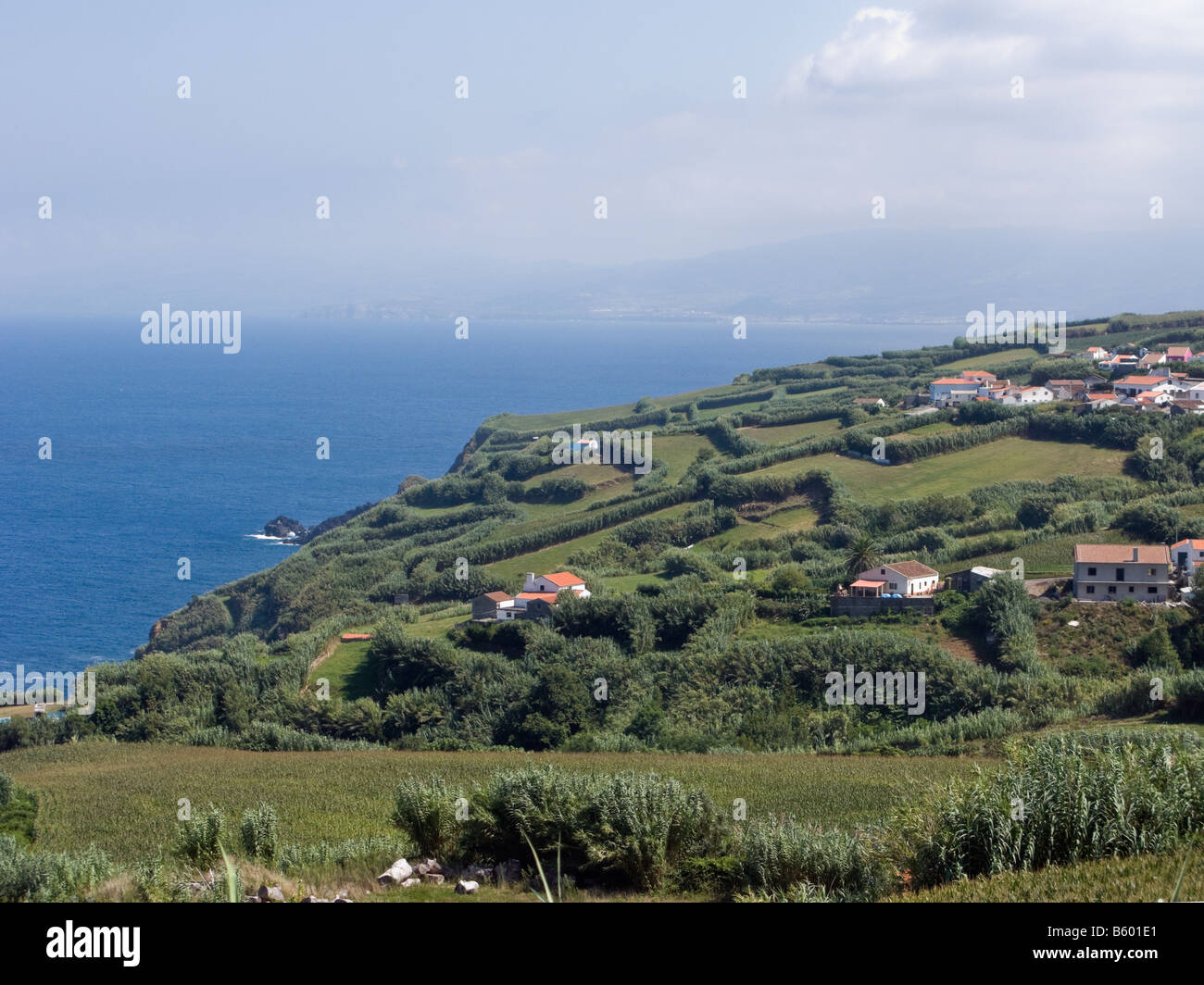 Maisons sur la campagne à São Miguel, Açores, Portugal Banque D'Images