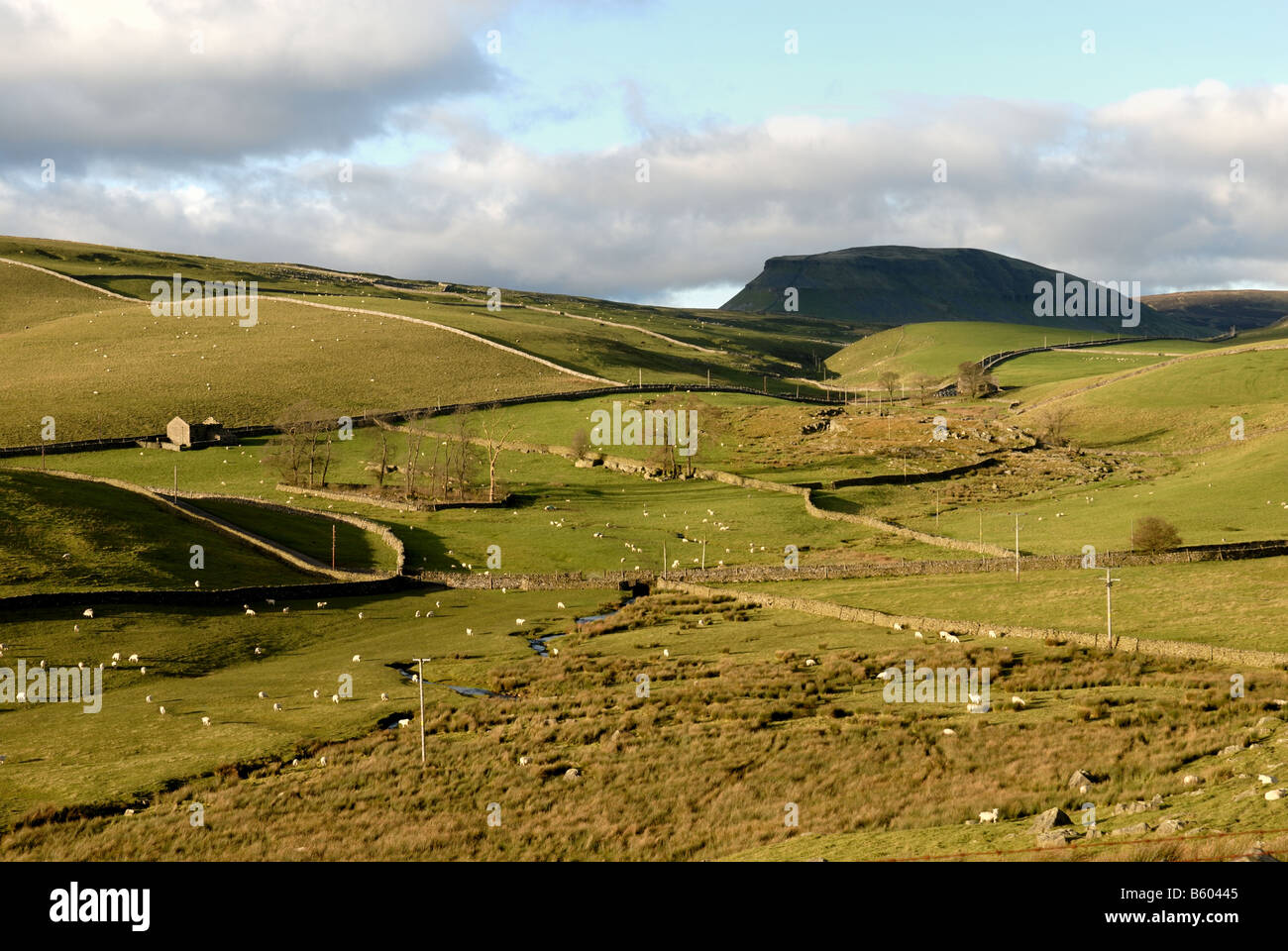 North Yorkshire High moorland avec Penyghent montagne en arrière-plan UK Banque D'Images
