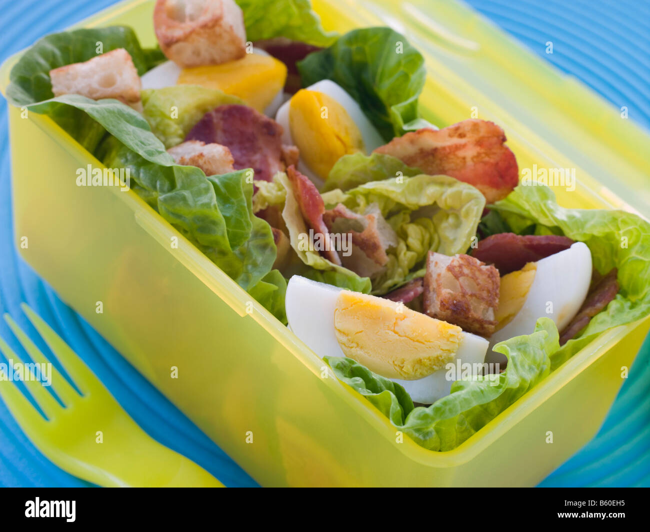 Salade aux Œufs et bacon Lunch Box Banque D'Images