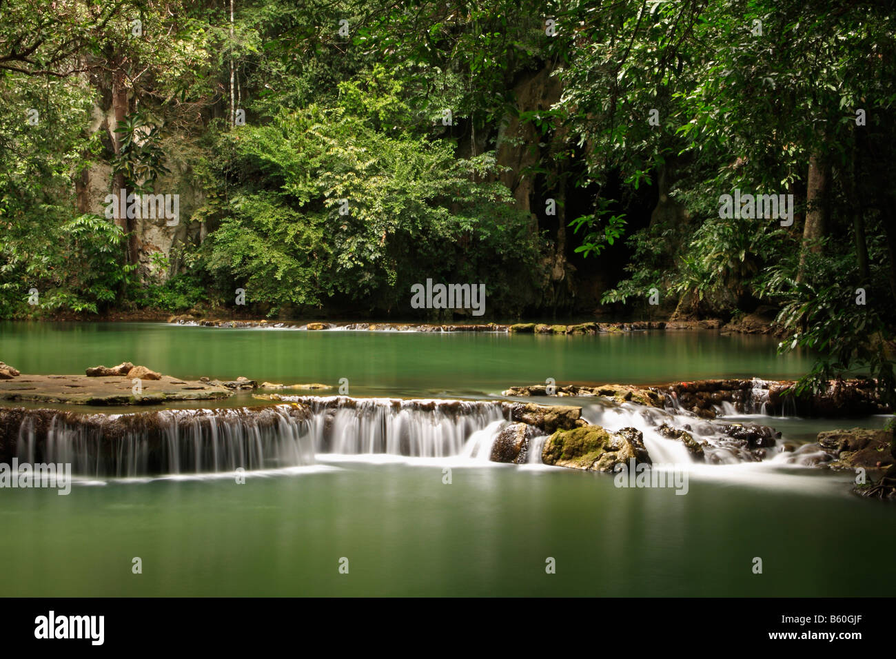 Forêt, Cascade, Bok Khorani que Parc national près de Krabi, Thaïlande, Asie Banque D'Images