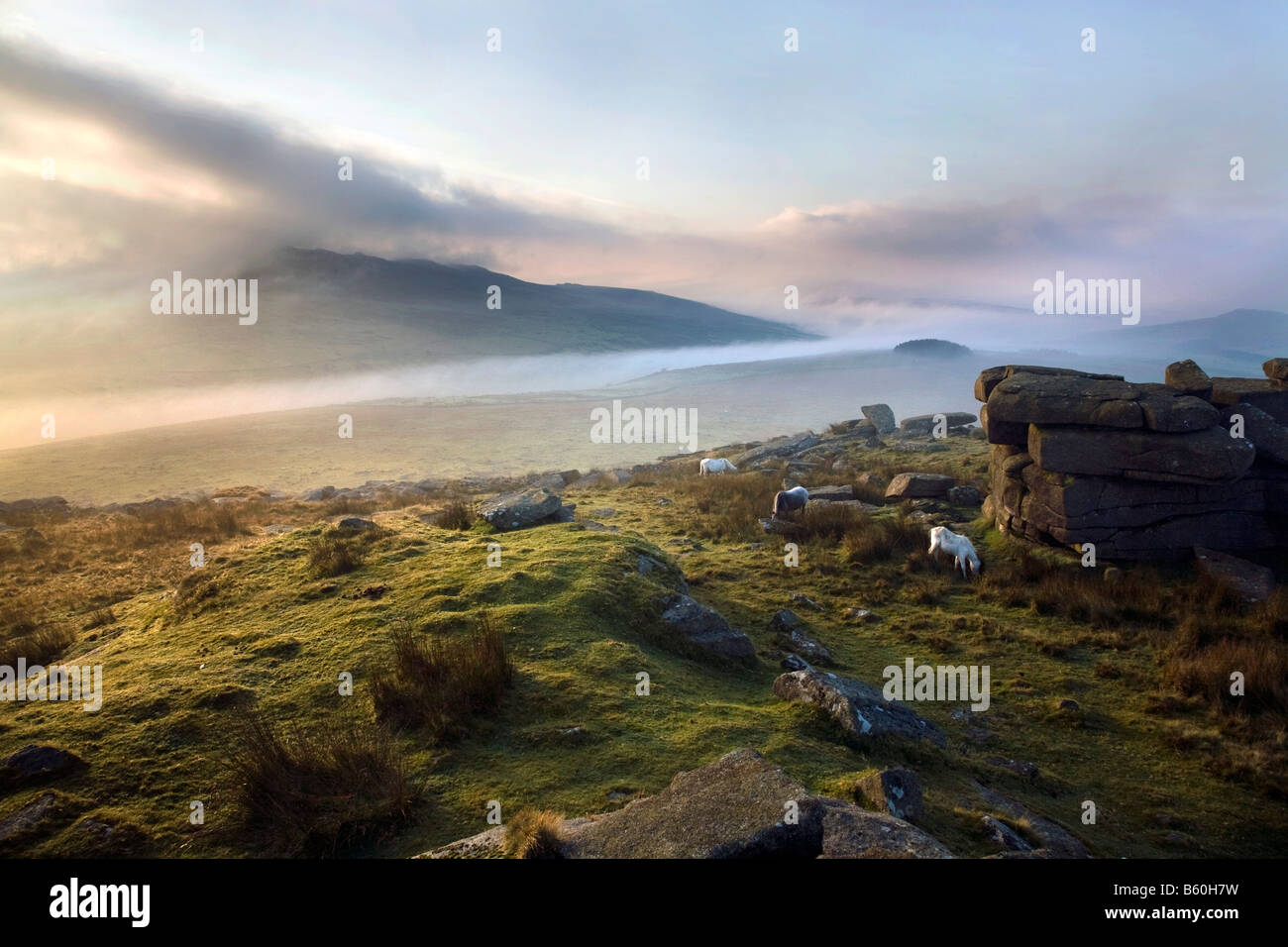 Brume sur la lande de Bodmin cornwall roughtor Banque D'Images