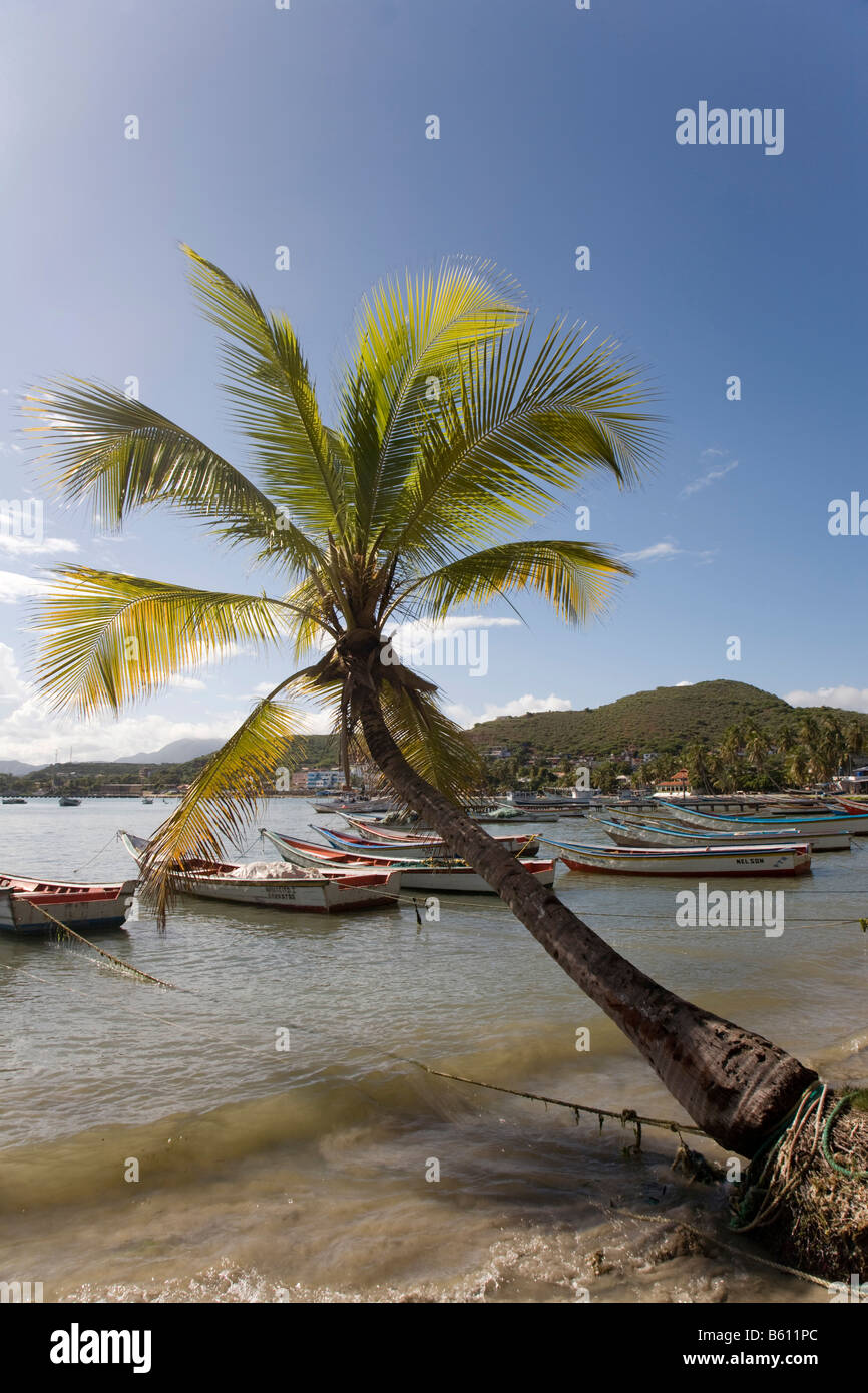 Bateaux de pêche sur la Plage de Pampatar, l'île de Margarita, Venezuela, Caraïbes, Amérique du Sud Banque D'Images