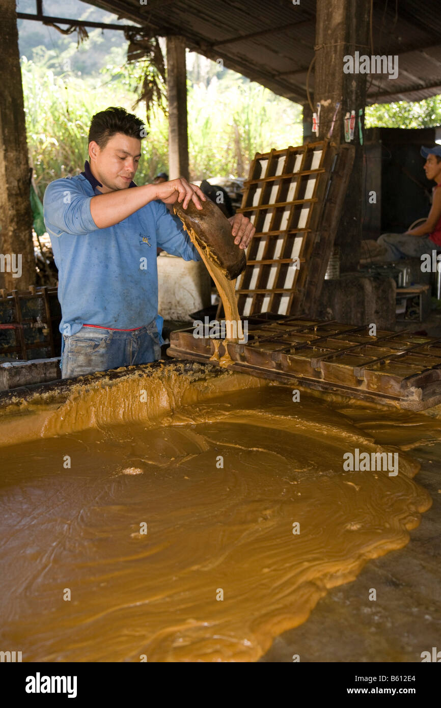 La canne à sucre, de remplissage travailleur moules avec de la mélasse de sucre refroidi, le Venezuela, l'Amérique du Sud Banque D'Images