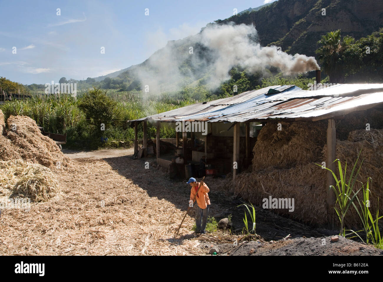 Site pour la production de sucre de canne, le Venezuela, l'Amérique du Sud Banque D'Images