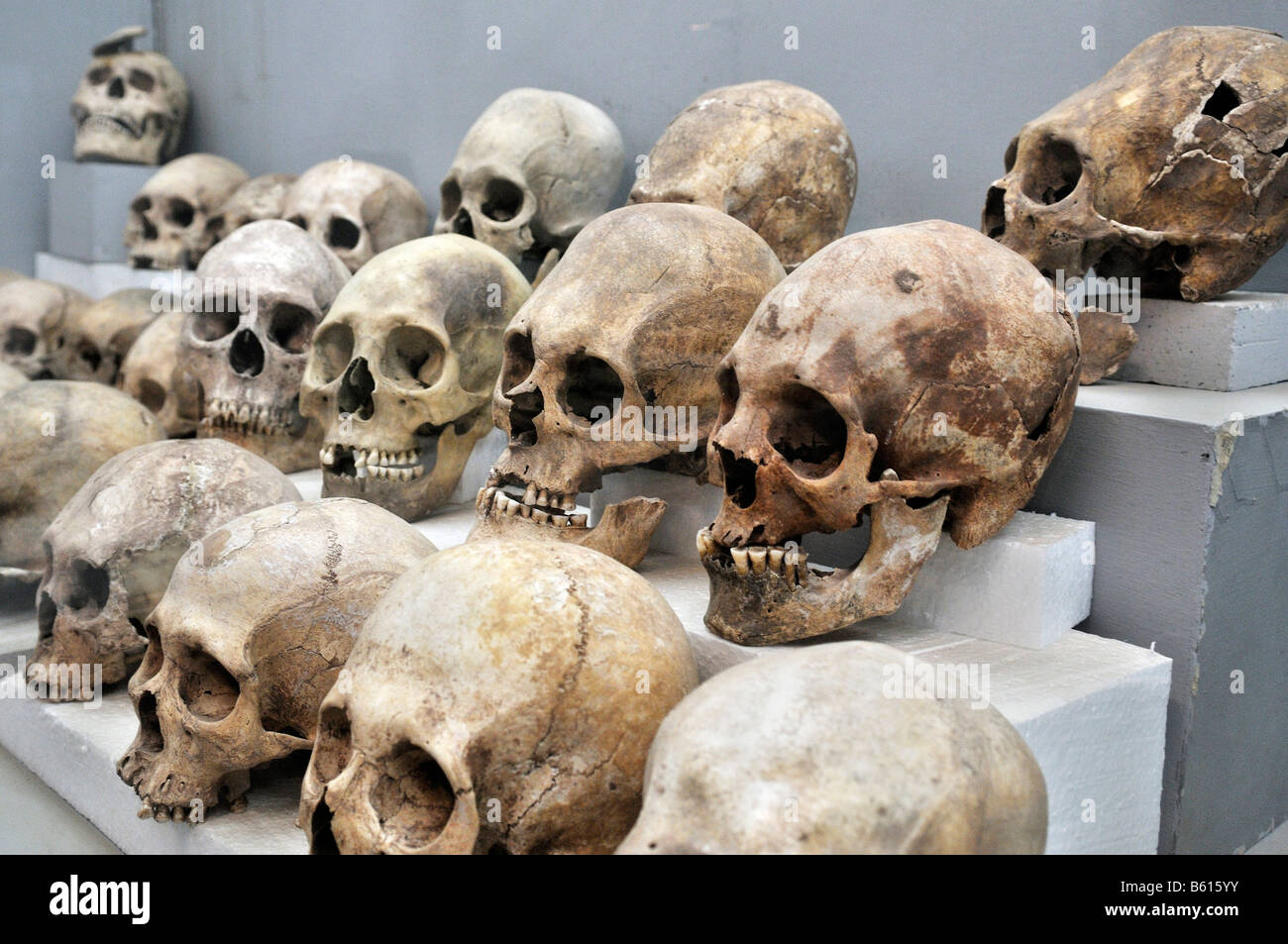 Les crânes déformés de la Tihuanaku Culture, Patrimoine Mondial de l'UNESCO, La Paz, Bolivie, Amérique du Sud Banque D'Images