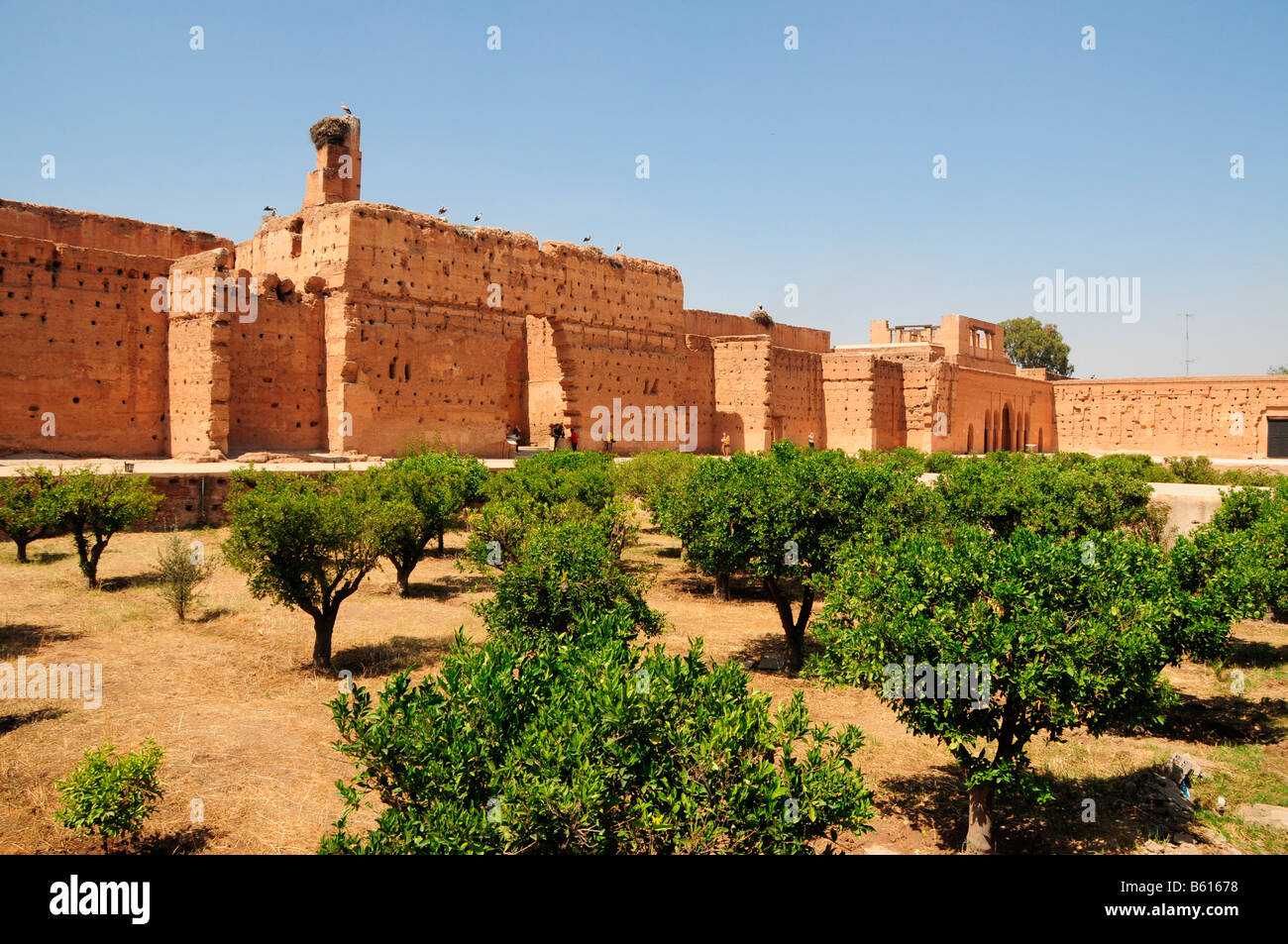 Des cigognes sur le mur de la palais Badi, Marrekesh, Maroc, Afrique Banque D'Images