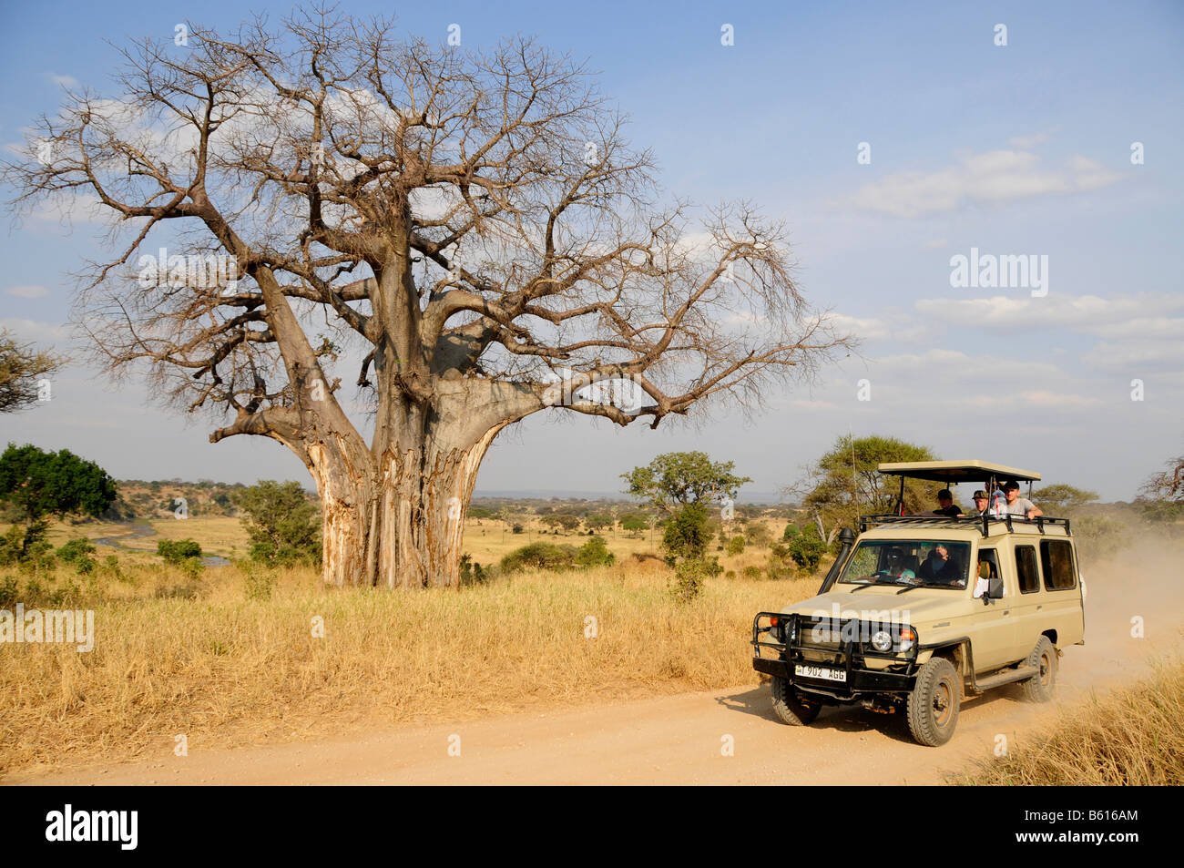 Touristes sous un Baobab (Adansonia digitata) sur safari dans un véhicule à quatre roues motrices, Tarangire-National, Tanzania Banque D'Images