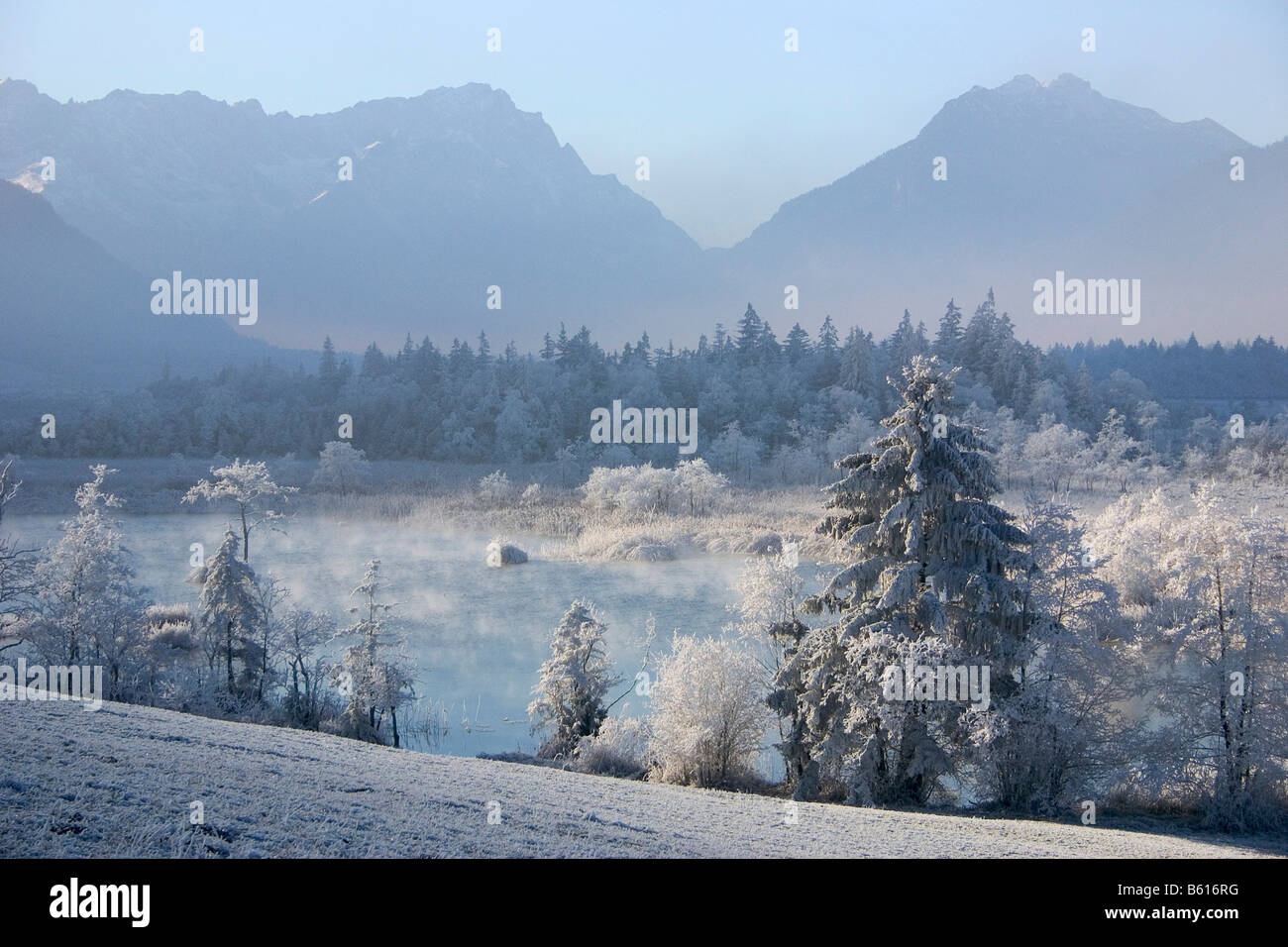 Matin avec givre, Sieben Quellen Springs en face de la montagne Zugspitze, la Bavière Banque D'Images