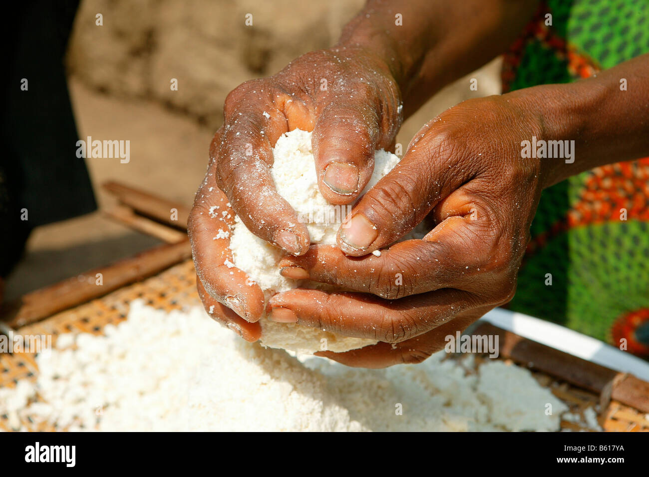 Woman's hands kneading maniok durant la préparation de flocons maniok, Bamenda, Cameroun, Afrique Banque D'Images