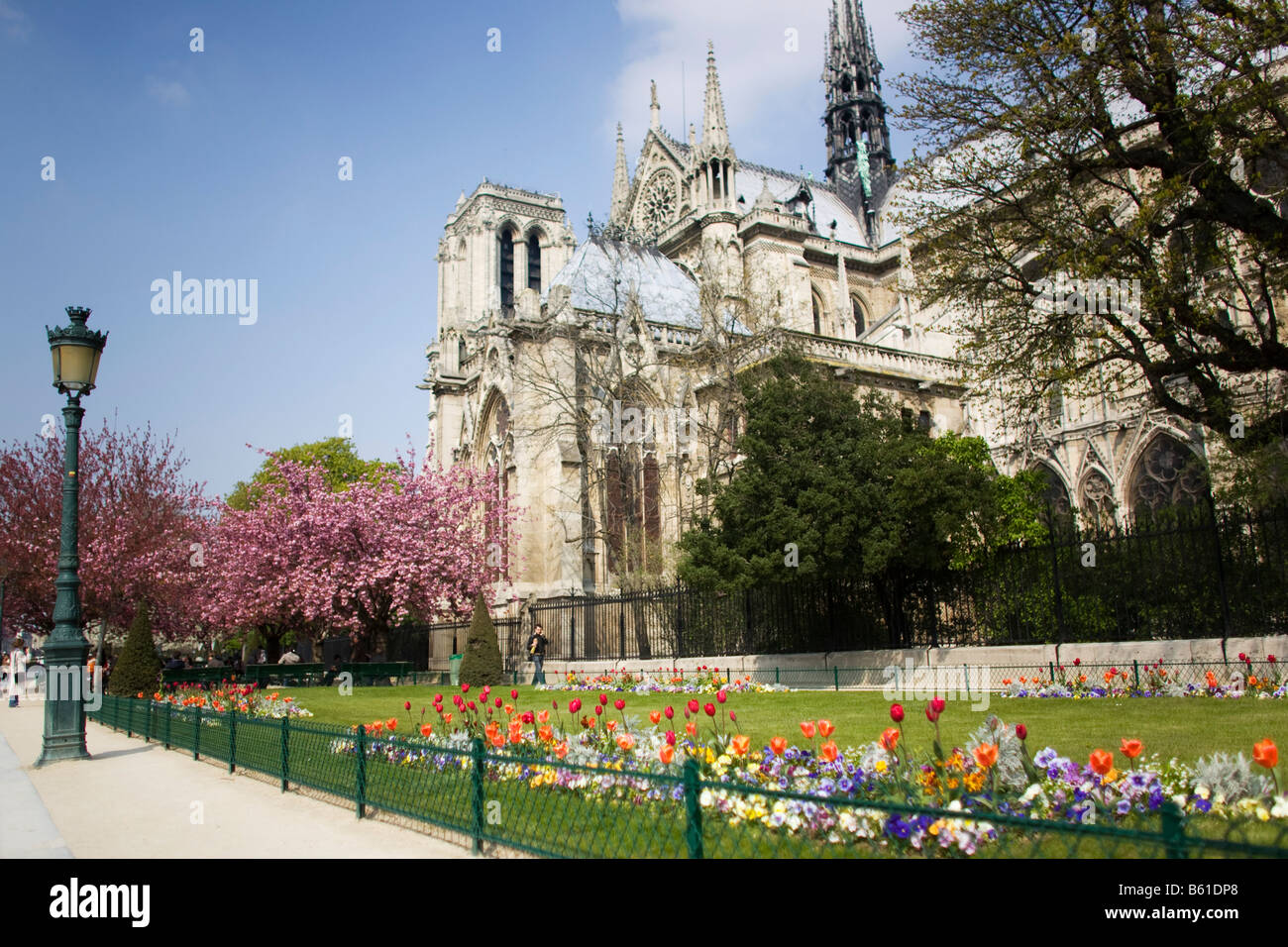 Les Arbres Et Les Fleurs Fleurissent Au Printemps A Paris