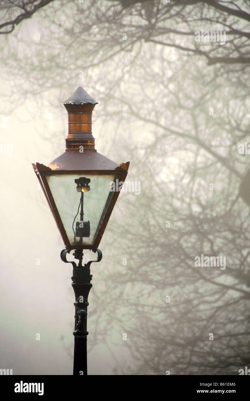 Un réverbère à gaz dans le brouillard pendant le Phoenix Park Dublin Banque D'Images