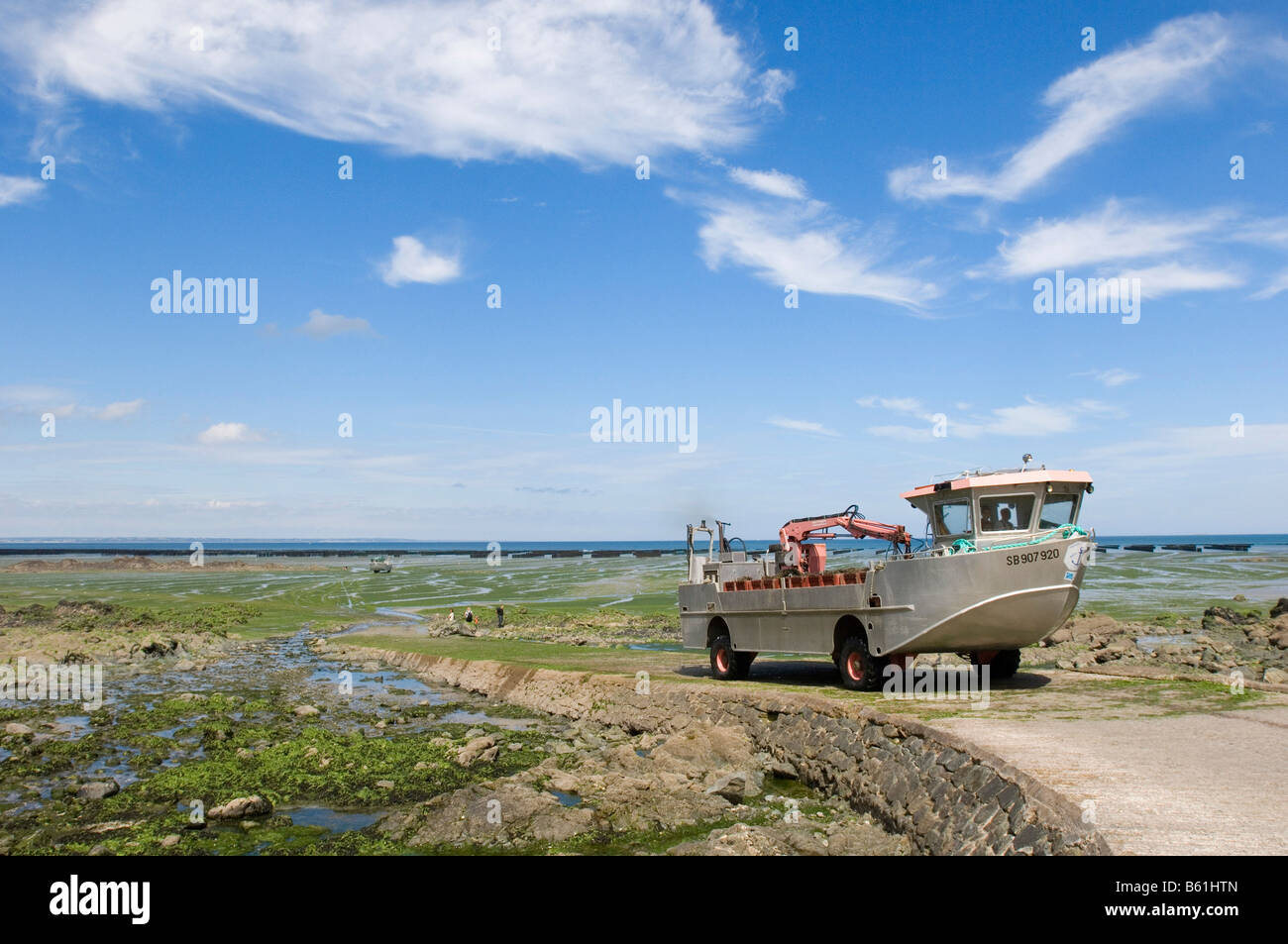 Véhicule amphibie chargé avec la conduite dans les moules de bouchots le dans la baie de Saint Brieux avant que la marée monte, Bretagne Banque D'Images