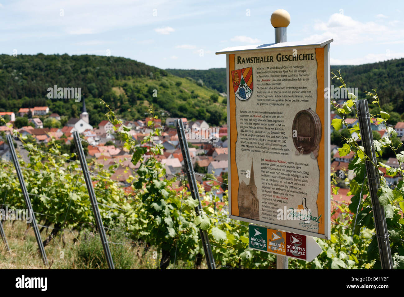 Information Board à un vignoble à Ramsthal, Rhoen, Basse Franconie, Bavière, Allemagne, Europe Banque D'Images