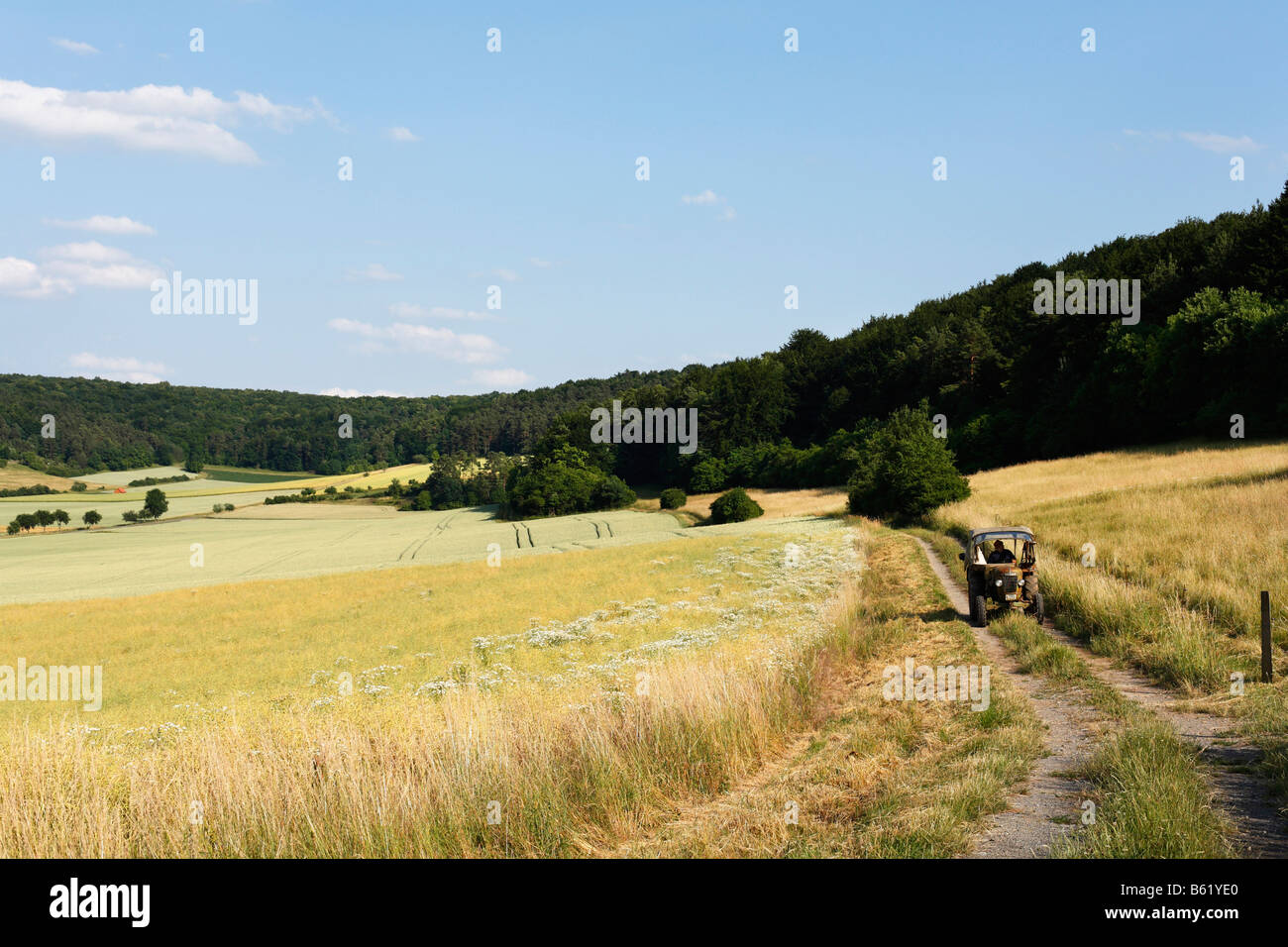 Paysage culturel près de Nuedlingen, Rhoen, Basse Franconie, Bavière, Allemagne, Europe Banque D'Images