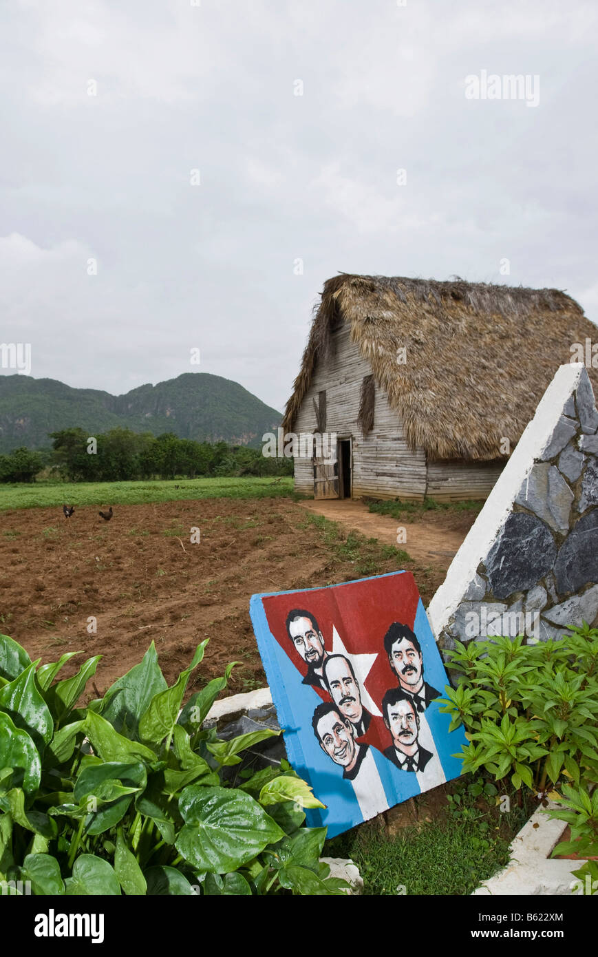 Séchage-maison pour le tabac, Viñales, Cuba, Caraïbes Banque D'Images