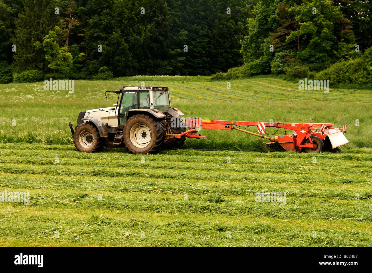 Agriculteur de couper le gazon à l'aide d'un tracteur et de la tondeuse rotative, Neusles, Haute-Franconie, Bavaria, Germany, Europe Banque D'Images
