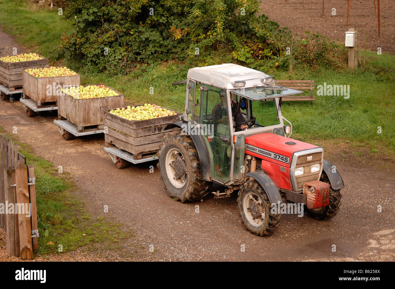 Les pommes récoltées d'une plantation d'apple d'être conduit au dépôt par un tracteur, Kent, Angleterre, Grande-Bretagne, Europe Banque D'Images