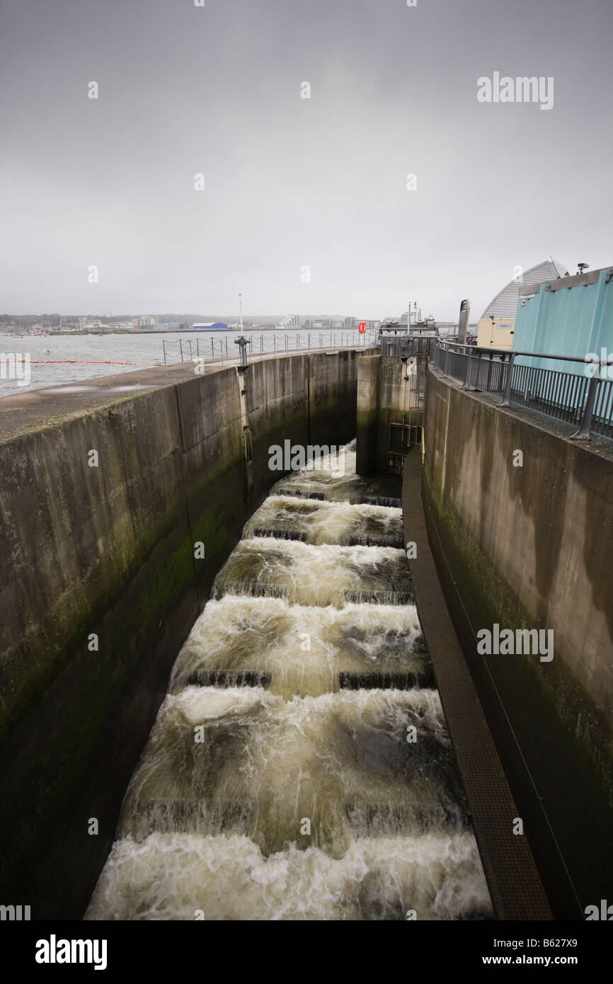 Col du saumon sur Barrage de Cardiff au Pays de Galles, Royaume-Uni Banque D'Images