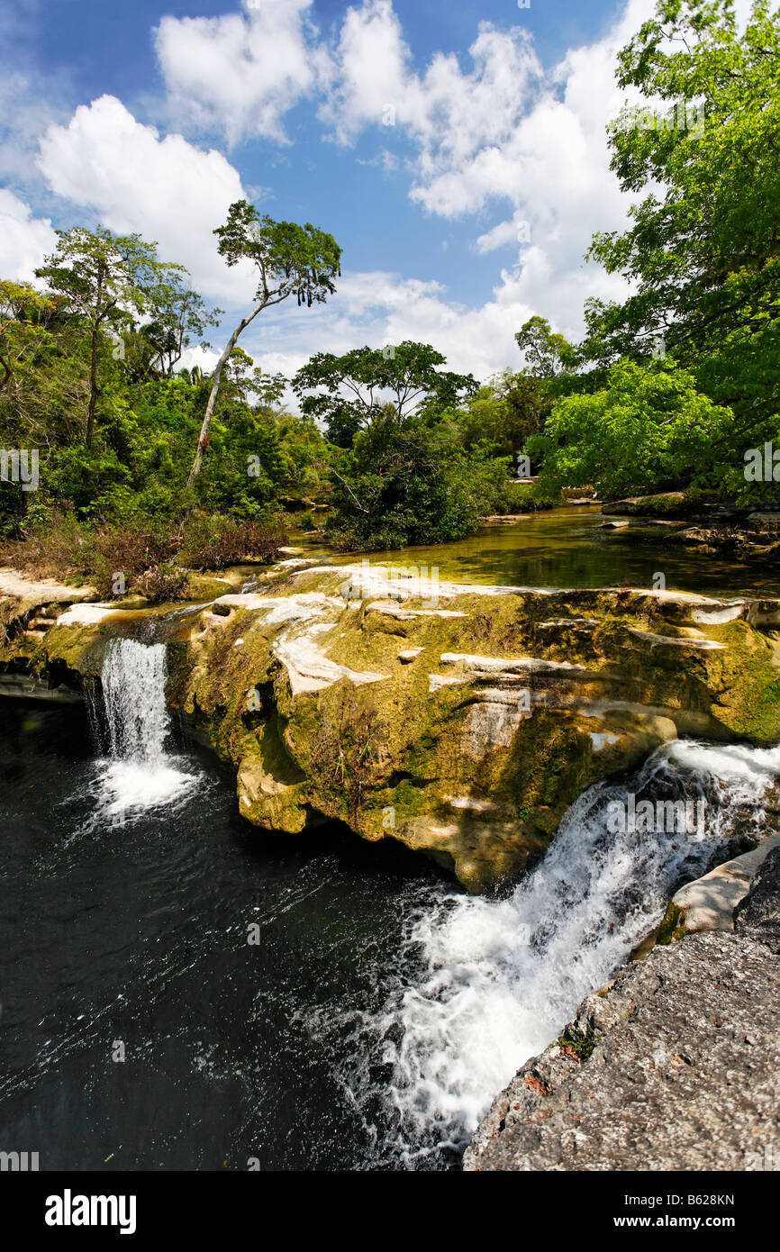 Cours de la rivière avec deux petites cascades, forêt vierge, rochers, Punta Gorda, Belize, Amérique Centrale, Caraïbes Banque D'Images