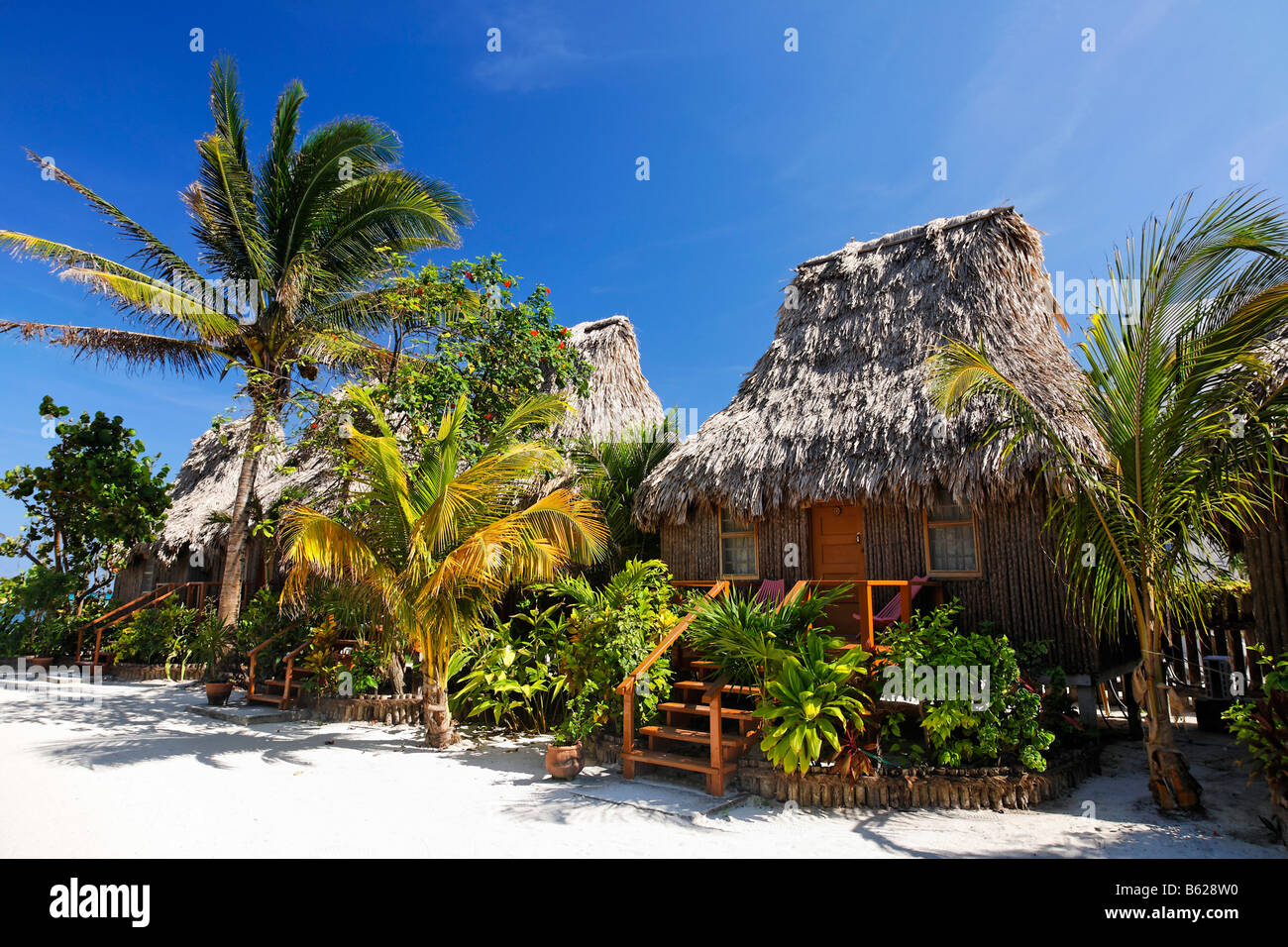 Bungalows au toit de chaume entre palmiers à San Pedro, Ambergris Cay Island, Belize, Amérique Centrale, Caraïbes Banque D'Images