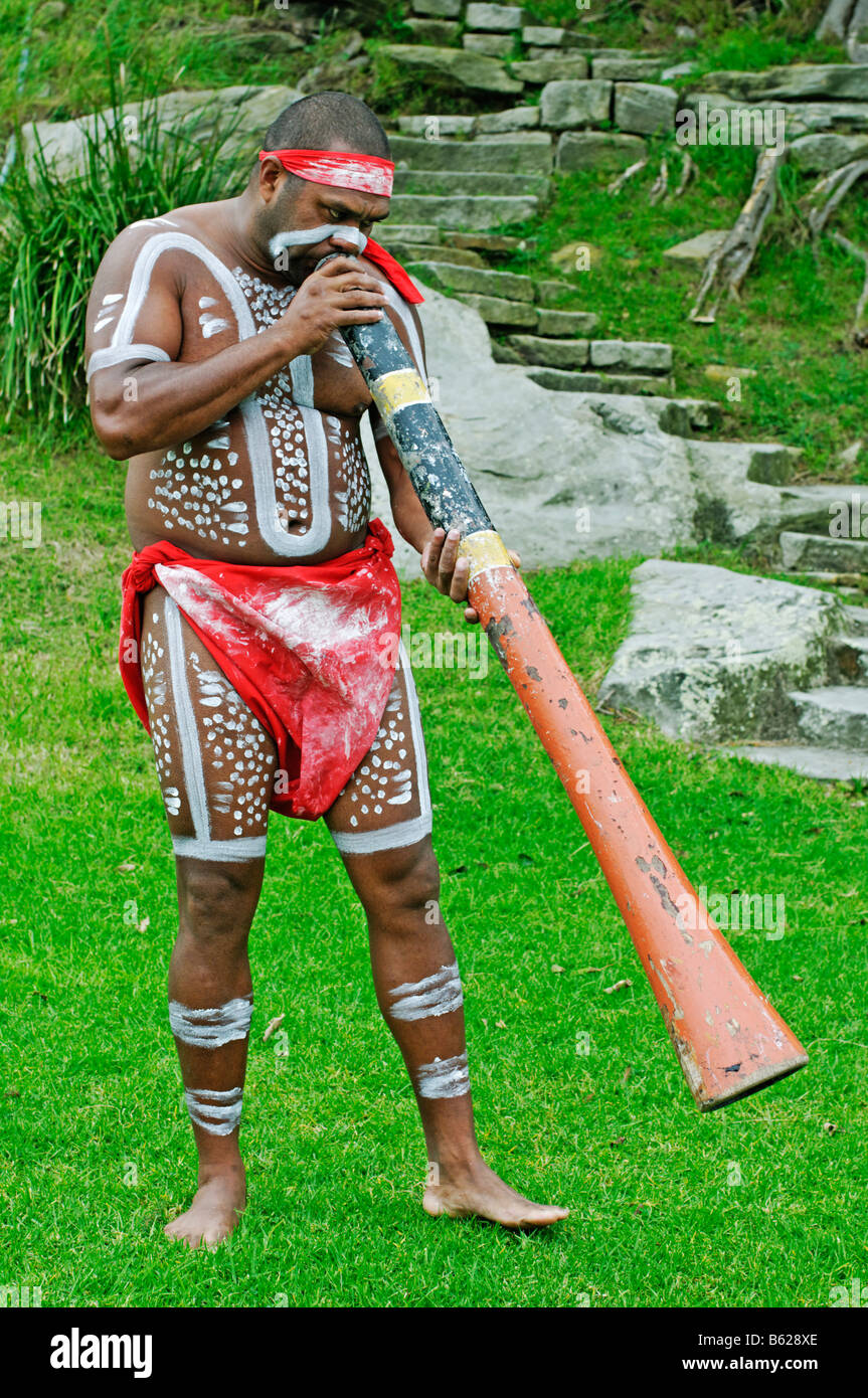 Jouer d'un instrument aborigène au cours de la performance de danse ...