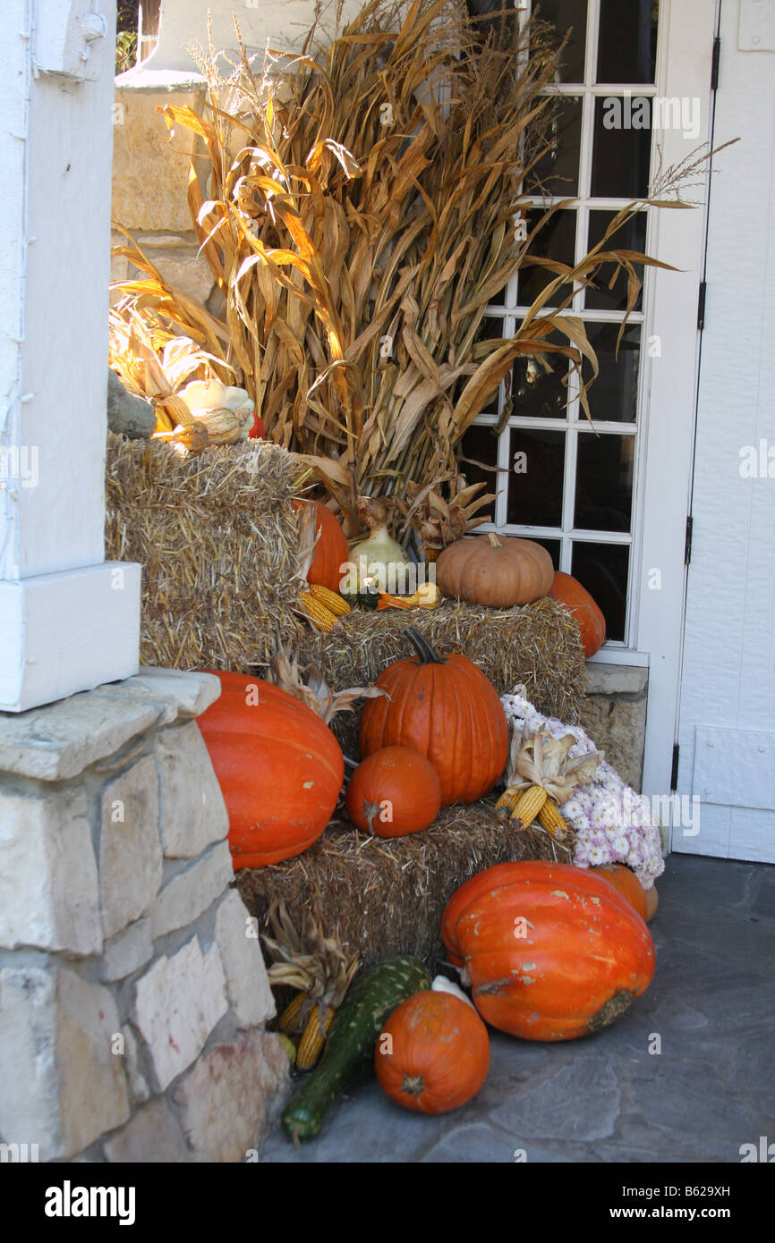 Automne décoration avec citrouilles calebasses et enveloppes de maïs Banque D'Images