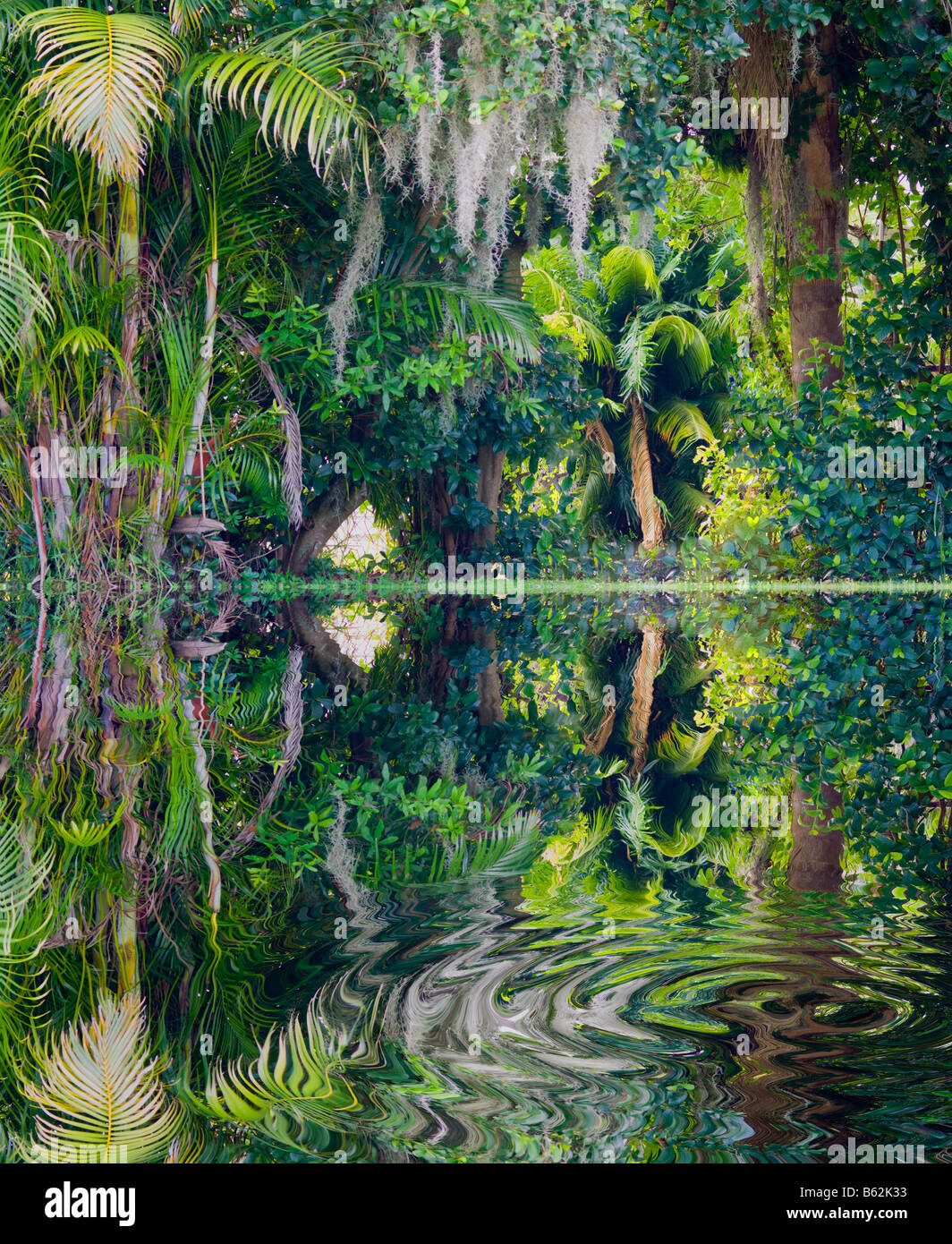 Jungle reflète dans le lagon tropical Banque D'Images