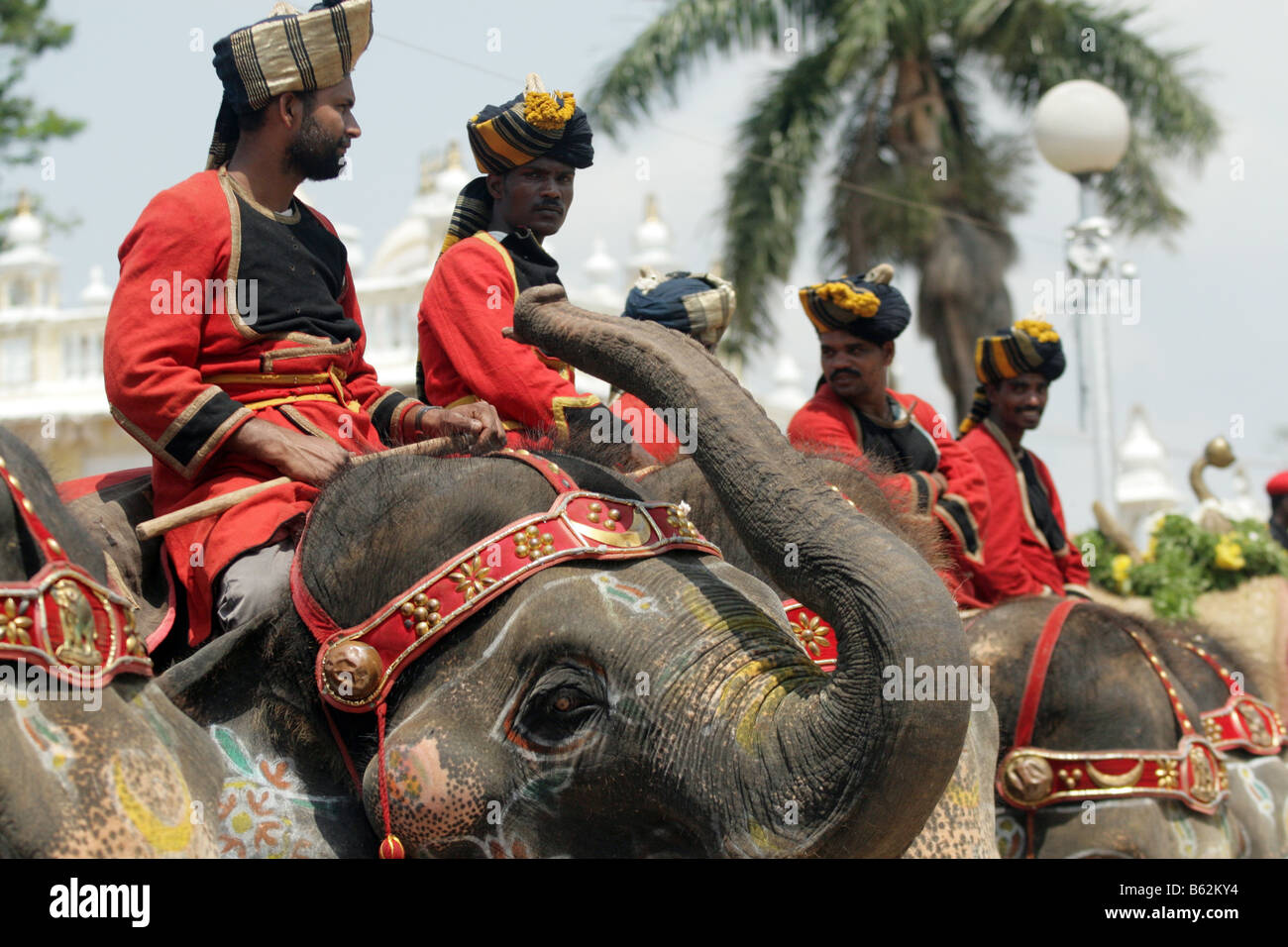 Cornacs attend pour entrer dans la procession pendant la festival Dasara à Mysore, Inde. Banque D'Images