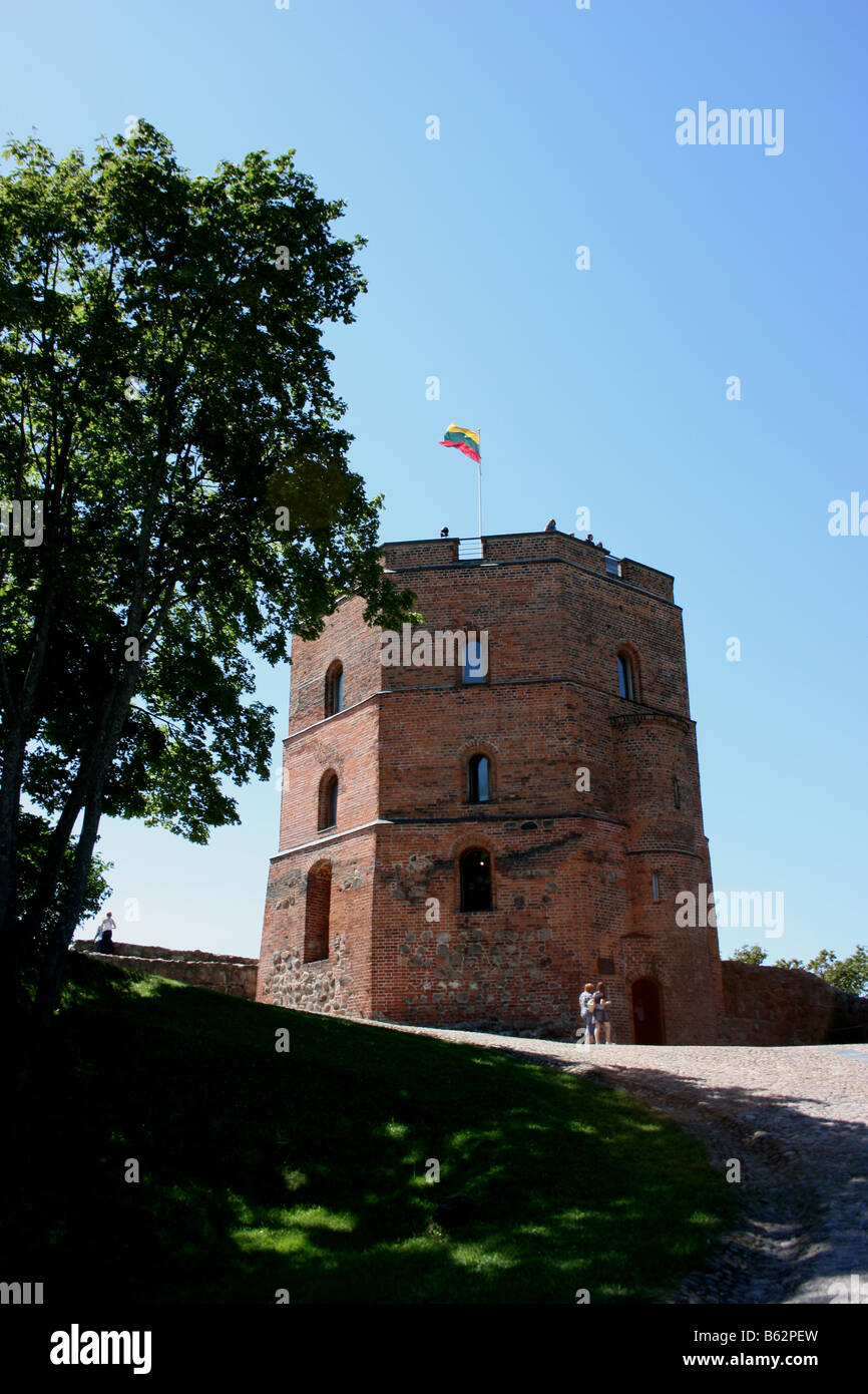 La tour de Gediminas, Vilnius, Lituanie Banque D'Images