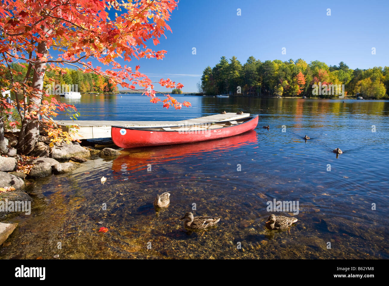 Automne canoë sur le lac Quakish, Ludlow, dans le Maine, la Nouvelle Angleterre, USA. Banque D'Images