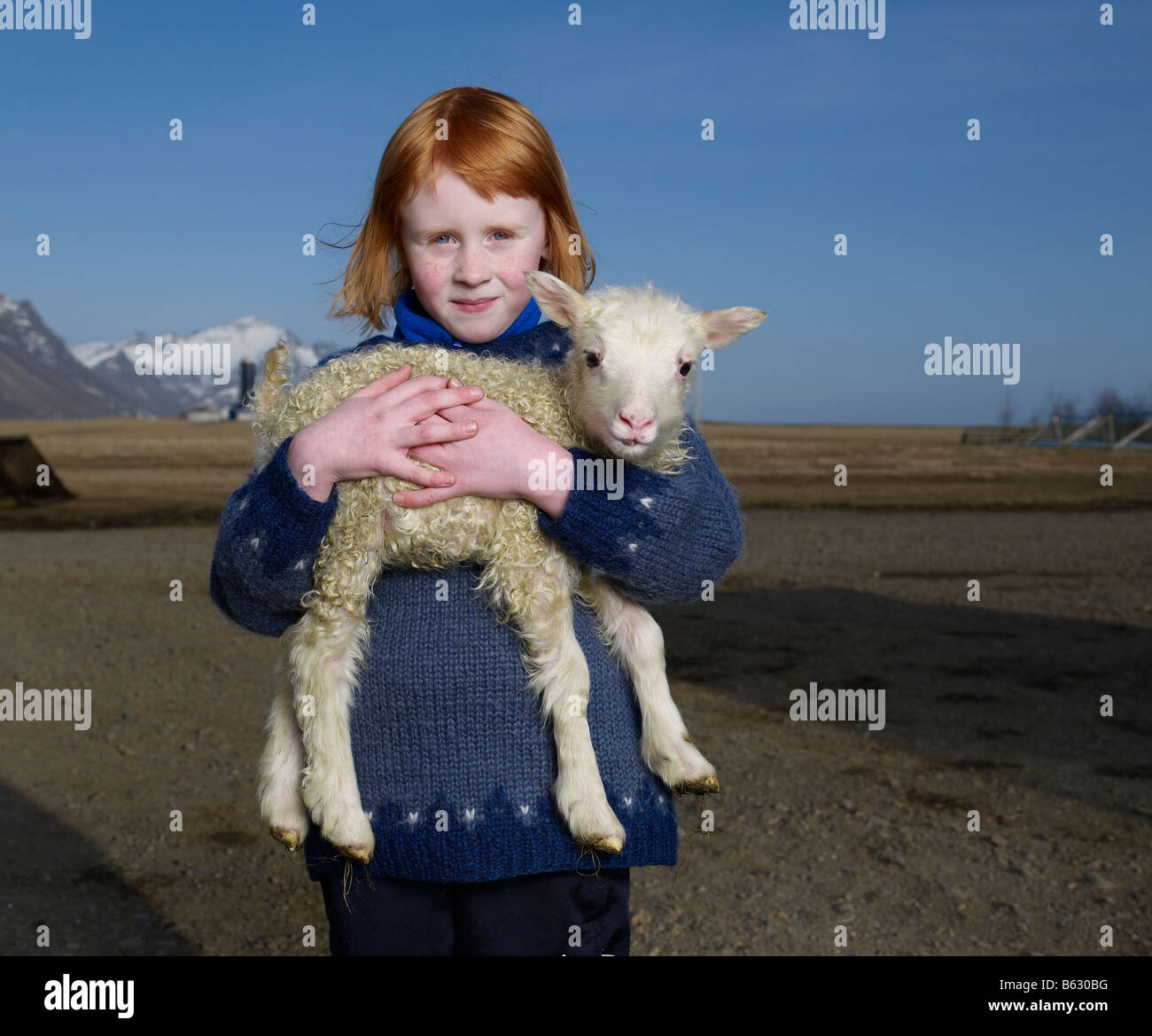 Red Headed girl on ferme avec l'agneau, l'Islande de l'Est du fjord Hornafjordur Banque D'Images