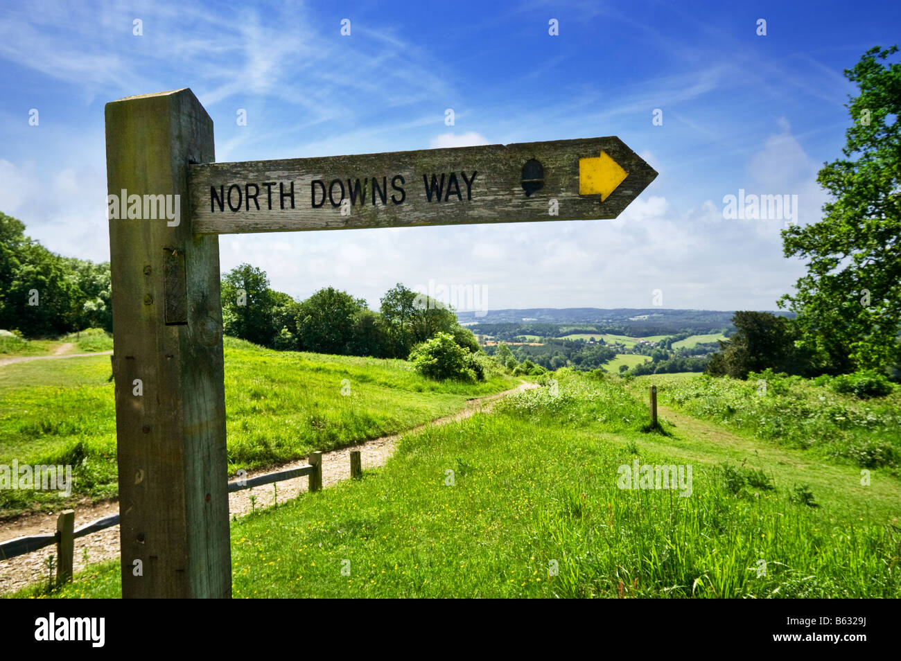 North Downs Way sentier direction panneau signe, Newlands Corner, collines du Surrey, England, UK Banque D'Images