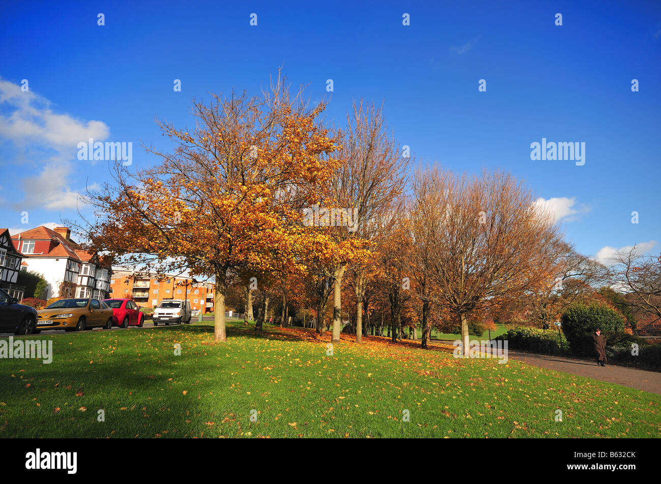 Hove Park, Brighton et Hove, East Sussex, Angleterre Banque D'Images