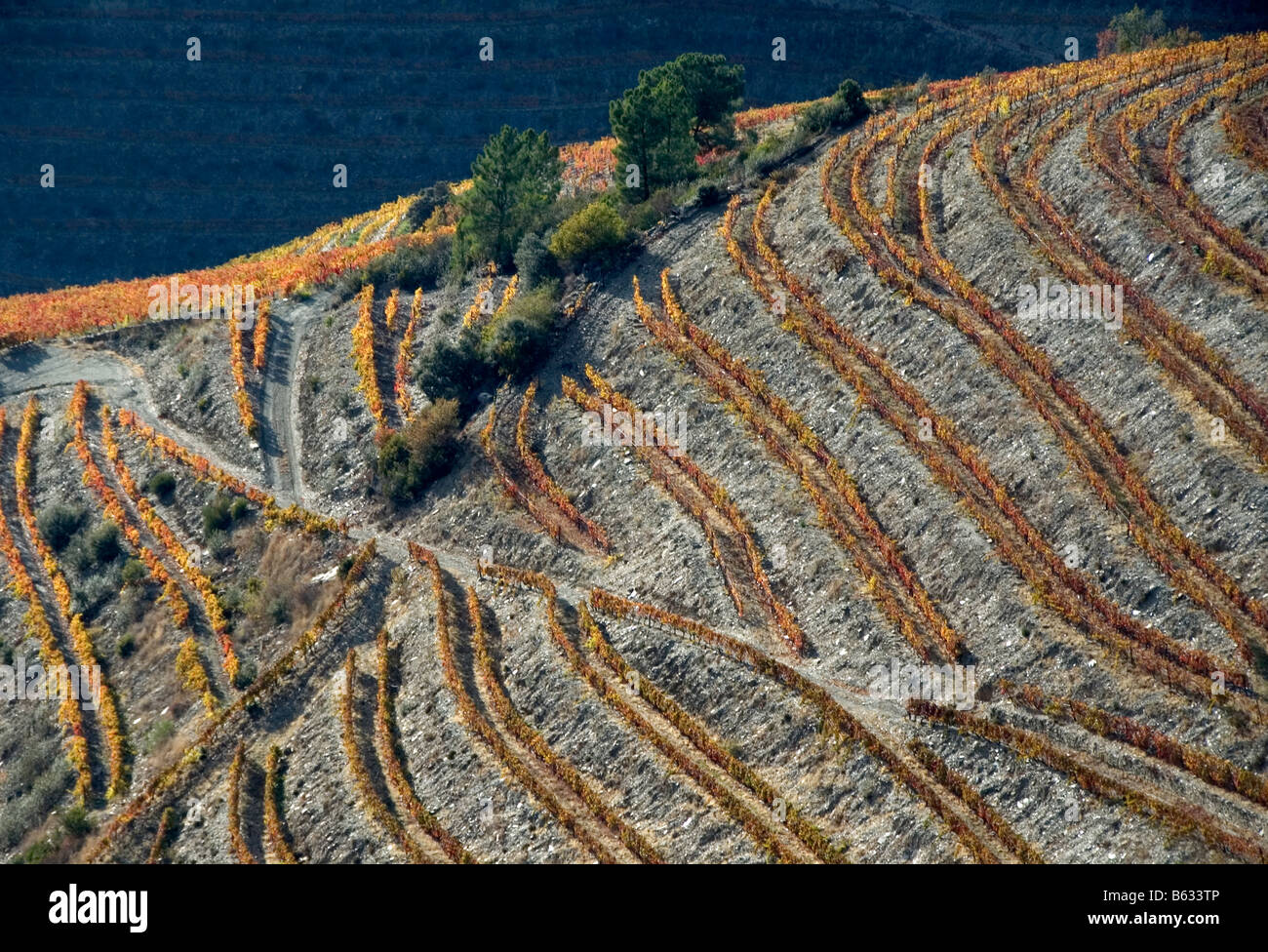 L'automne dans la vallée du Douro Banque D'Images