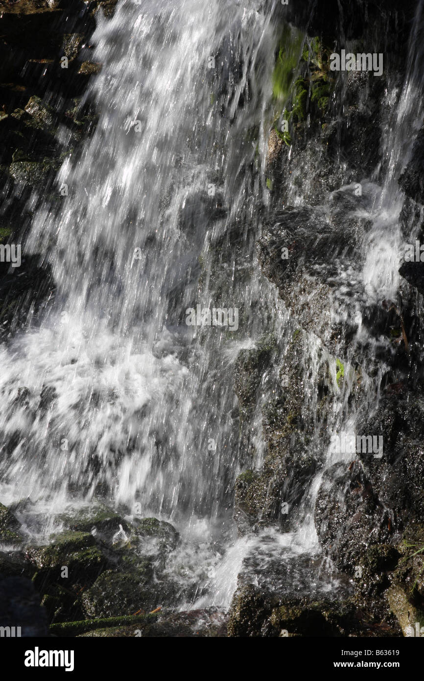 Une cascade artificielle de Branson Missouri sous la mousse sera saillie rocheuse Banque D'Images