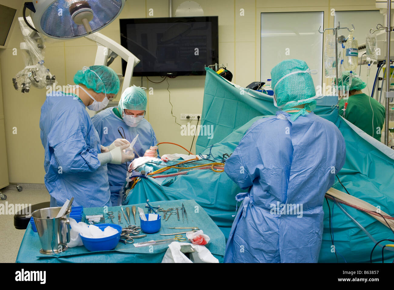 Les neurochirurgiens de retirer une tumeur bénigne au cerveau, Reykjavik, Islande Banque D'Images