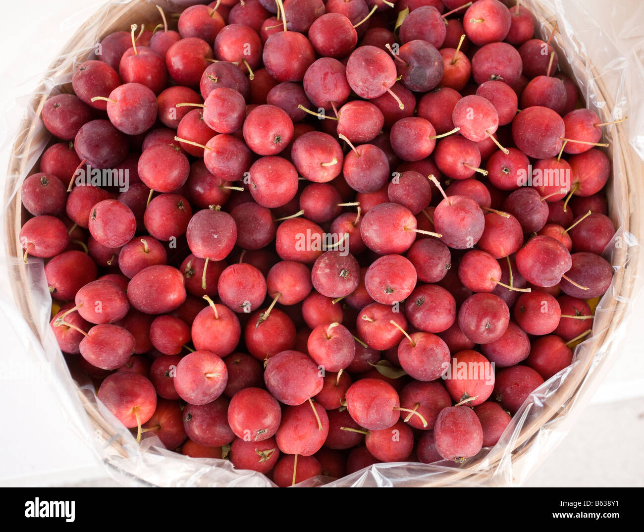 Les pommettes rouge mûre ronde un panier de pommes fraîchement cueillies au crabe un agriculteur s gate le comté de Prince Edward (Ontario) Canada Banque D'Images