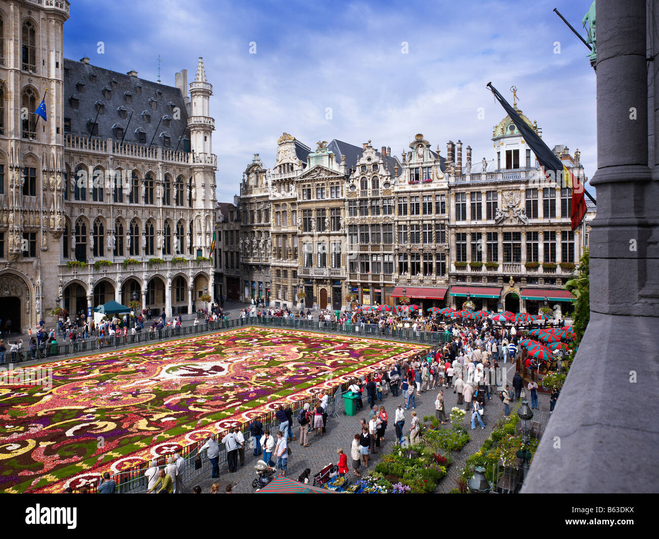 Tapis de fleurs sur la Grand Place Bruxelles, Brabant, Belgique, Europe Banque D'Images