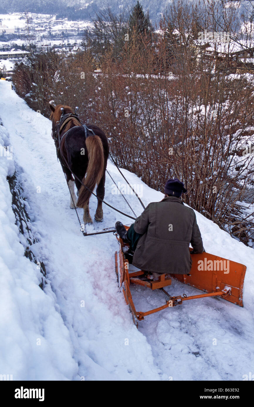 L'agriculteur Hubert Kirchmair déneigement d'un chemin à flanc de colline avec son allemand Coldblood du Cheval (Equus caballus), Tyrol Banque D'Images