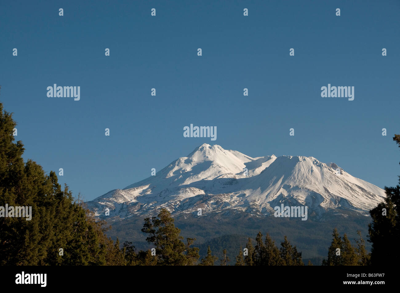 Le mont Shasta avec snow Banque D'Images